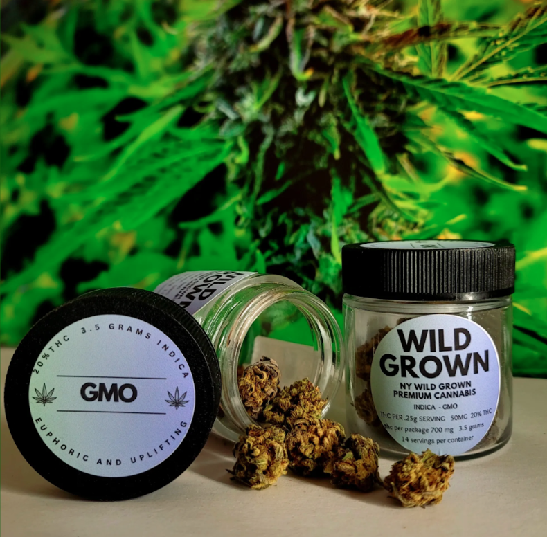 Screenshot 2026-03-19 at 1.34.53 PM.png