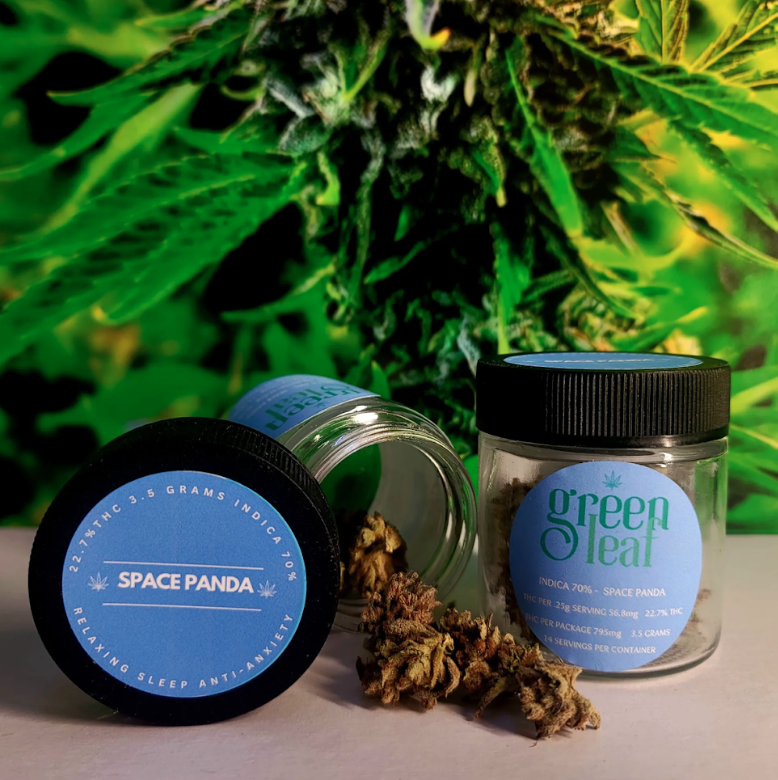 Screenshot 2026-03-19 at 1.35.06 PM.png