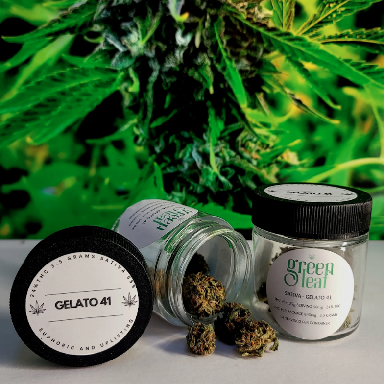 Screenshot 2026-03-19 at 1.35.31 PM.png