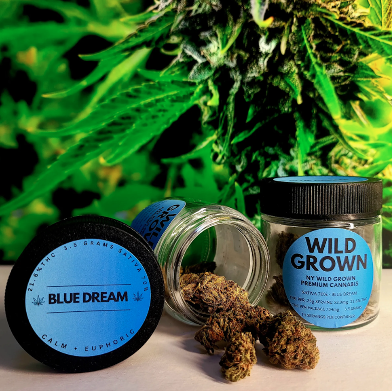 Screenshot 2026-03-19 at 1.35.44 PM.png