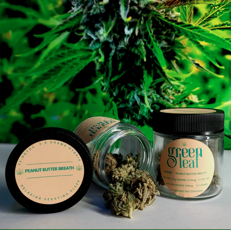 Screenshot 2026-03-19 at 1.35.12 PM.png