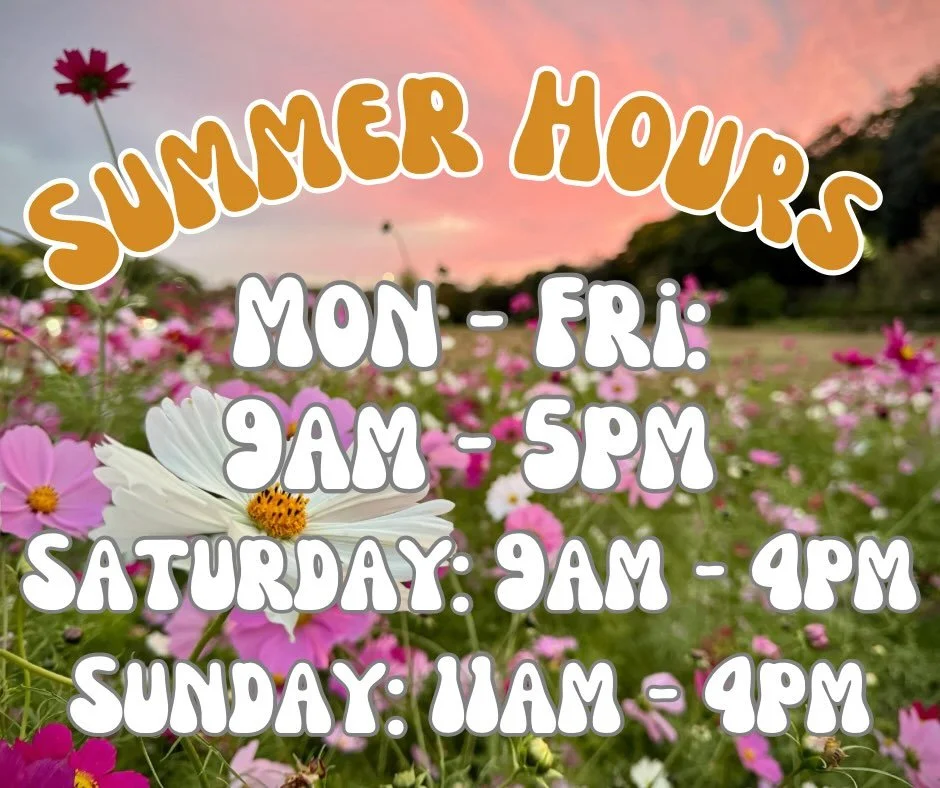 Summer Hours⛱️🌸🍉

Monday - Friday: 9am - 5pm
Saturday: 9am - 4pm
Sunday: 11am - 4pm