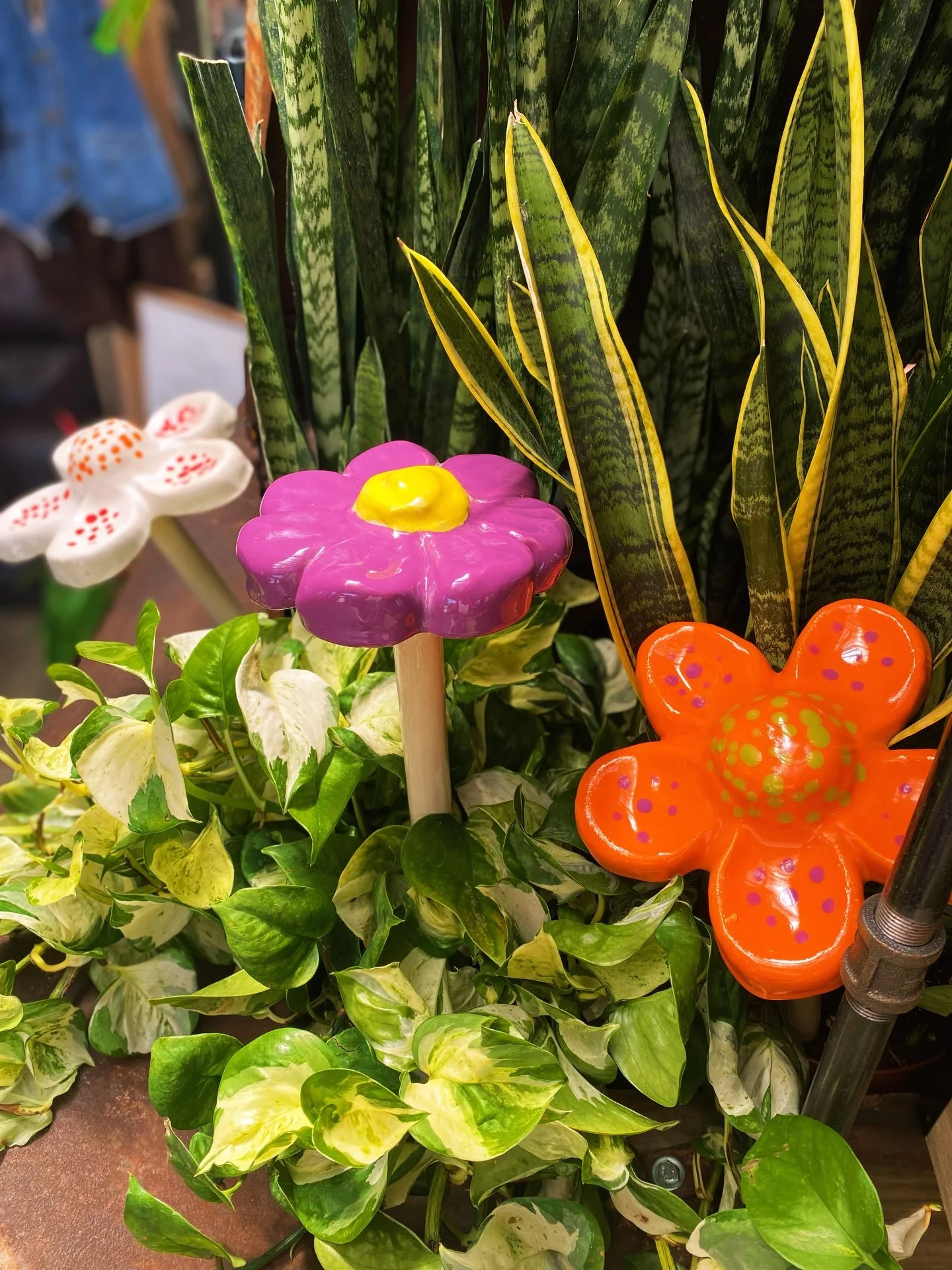 @earthly_potteryco Funky Flower Friends are blooming here at the Lancaster Greenhouse!🌼🪩🌸

Each of these ceramic garden flowers are handmade and hand-glazed right here in Fairfield county with 100% Ohio clay and Ohio glazes.🇺🇸

The coolest part?