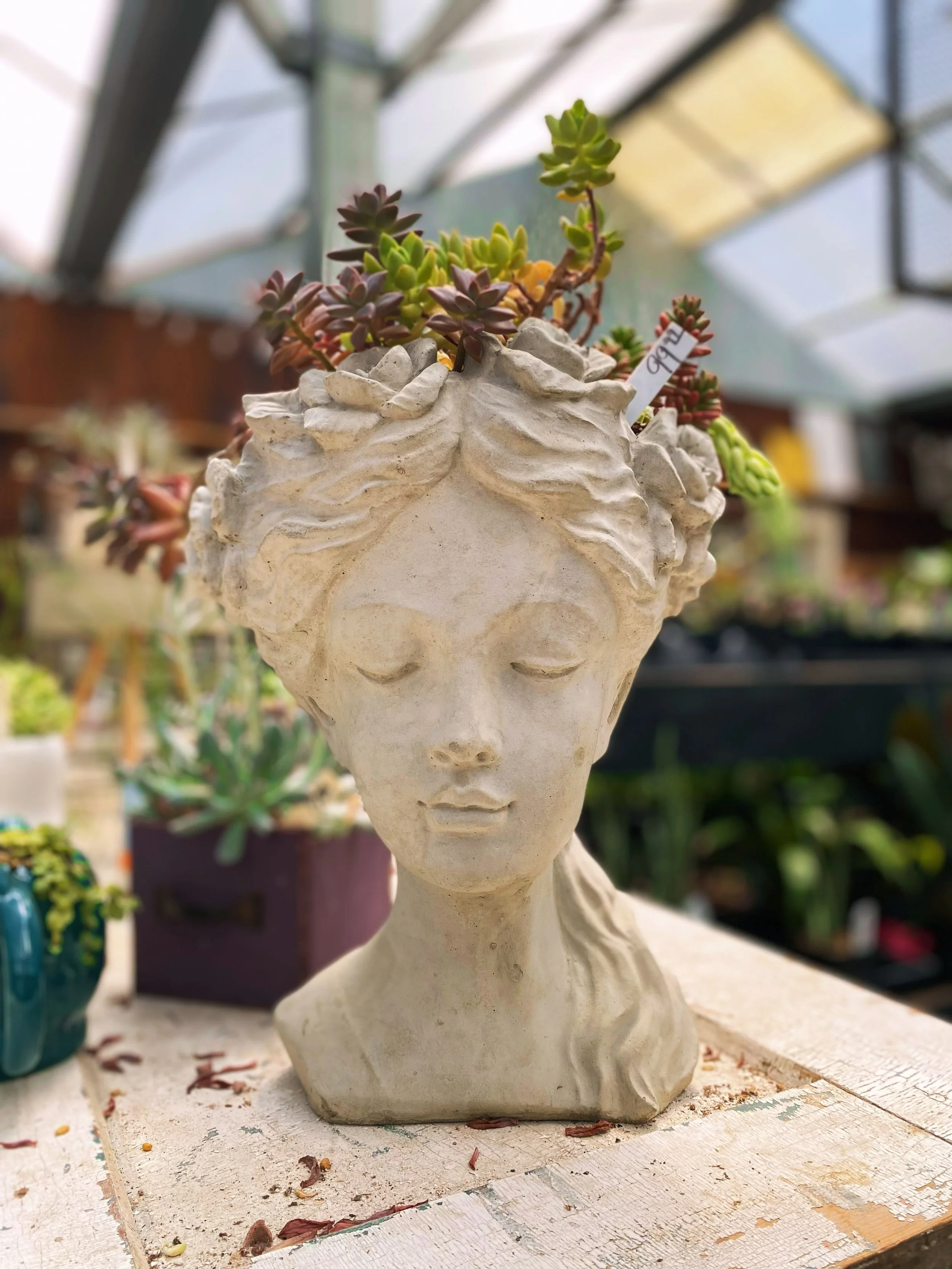 Our beautiful pre-potted Signature Creations by our very own @leashull are a hassle free way to grab and go!😌👍

With so many container options, we guarantee you&rsquo;ll find something you love!🪴