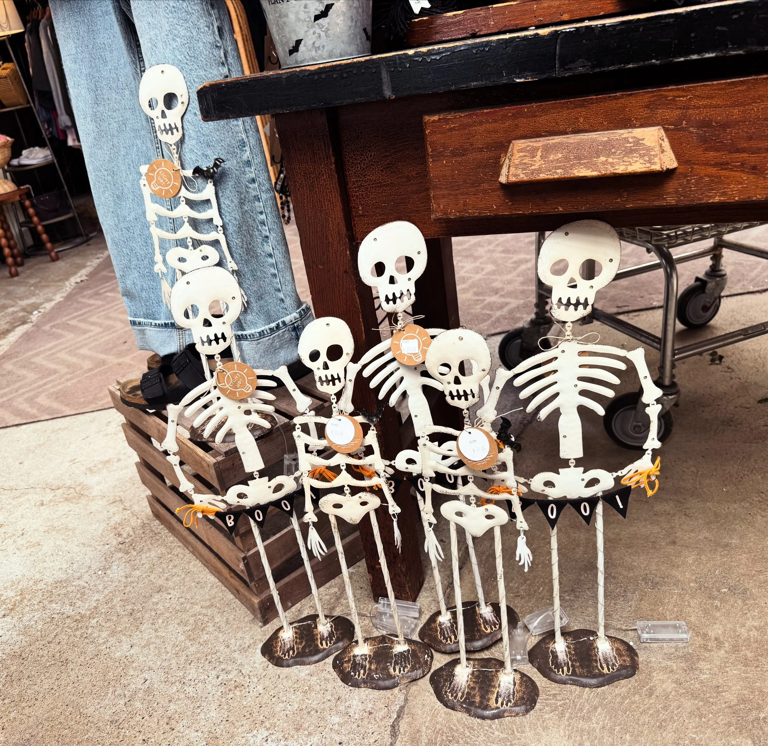 It&rsquo;s officially Aug-tober here at the Lancaster Greenhouse!💀🎃👻

Skeletons, ghosts, creepy cute critters, and all the spooky decor your haunted heart could want have just arrived.🕷️

Stop in and wander&hellip;if you dare!!😱
⏰Monday - Friday