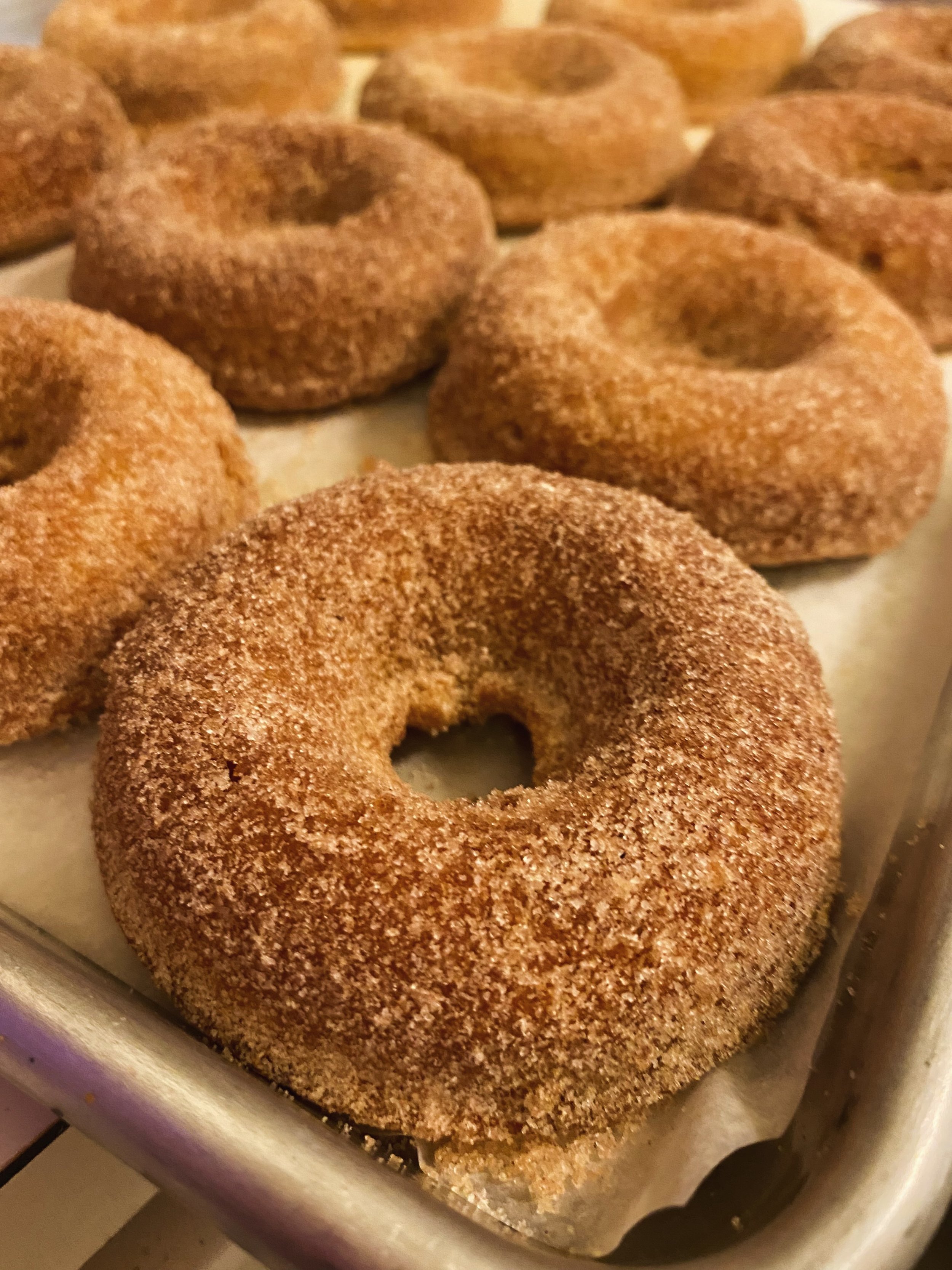 EVERY FRIDAY this fall season, New Roots Kitchen (@susiekrutsch👩&zwj;🍳 &amp; @krutschn👨&zwj;🍳) will be dropping pumpkin donuts, pumpkin bread, and pumpkin cookies right here at Lancaster Greenhouse ~ beginning 8/28!🎃🍪🍂

If you know Nick (yes, 