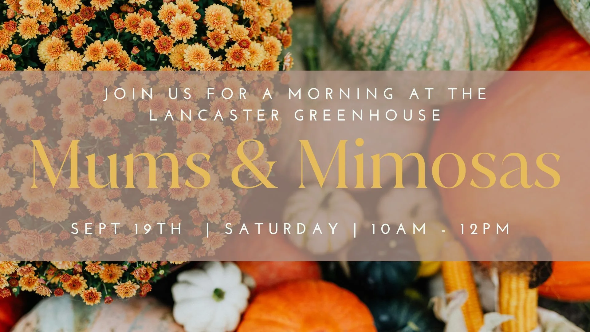 Join us for a super fun morning with pumpkin donuts 🍩 and apple cider MIMOSAS 🥂 and create a fall porch planter in a bushel basket!🍎🎃

Create your own fall porch planter! With this class, you will take home a bushel basket filled with a large mum