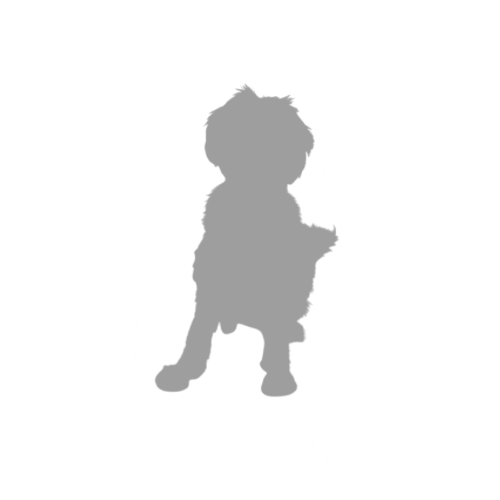 Vision 4 Paws