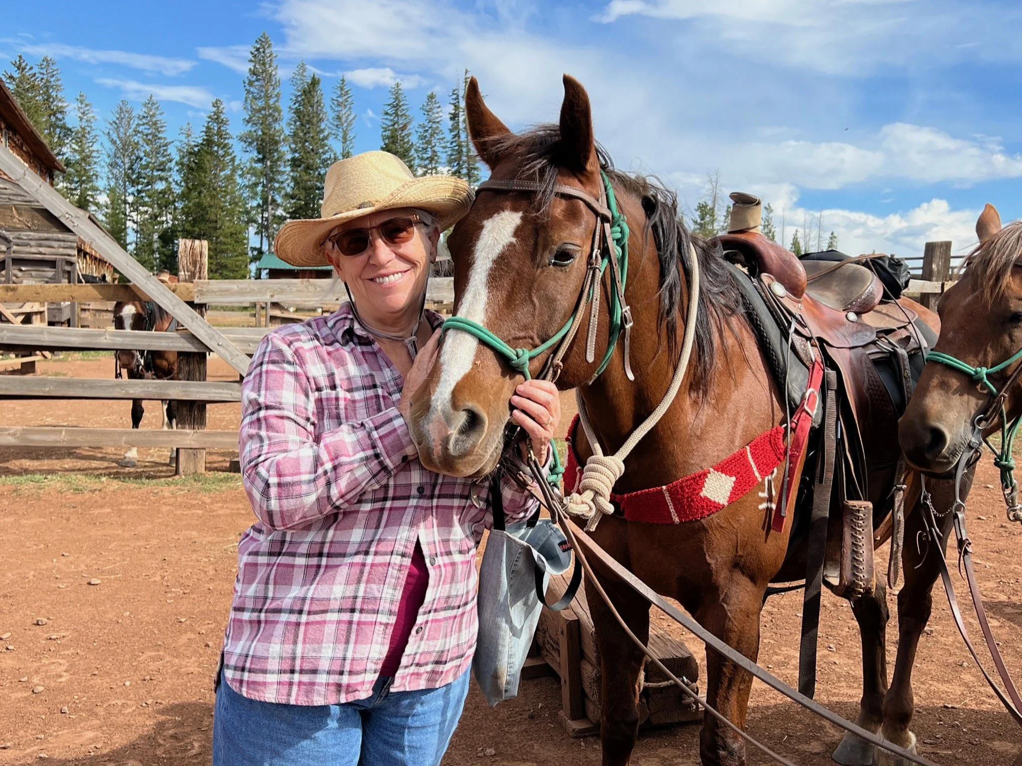 A woman wearing sunglasses, a straw hat, and a plaid shirt standing next to a brown horse with a white stripe on its face, in a rural outdoor setting with a wooden fence, green trees, and a blue sky with clouds.