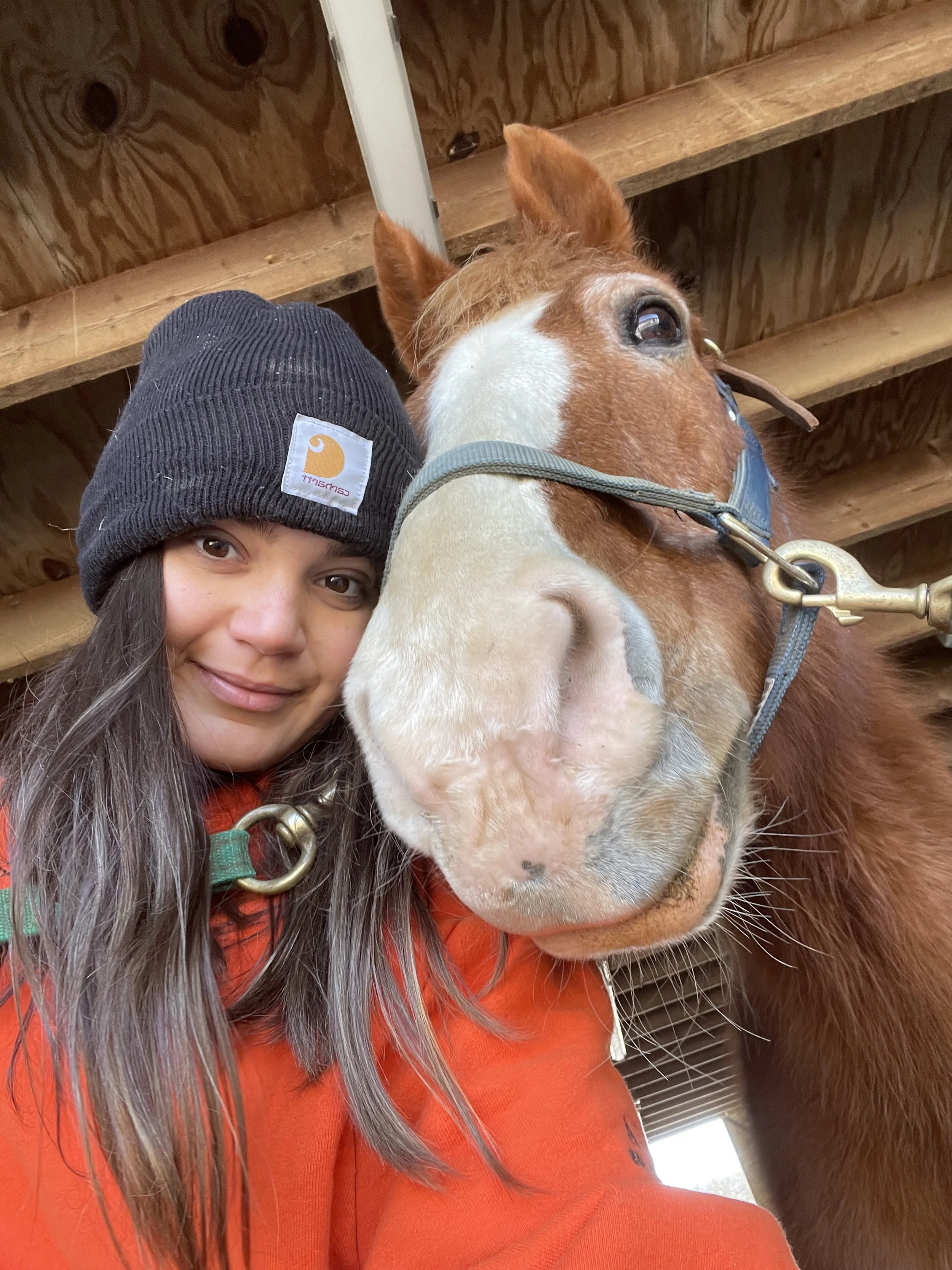 A girl with long black hair wearing a gray Carhartt beanie and an orange jacket taking a selfie with a brown and white horse inside a wooden stable.