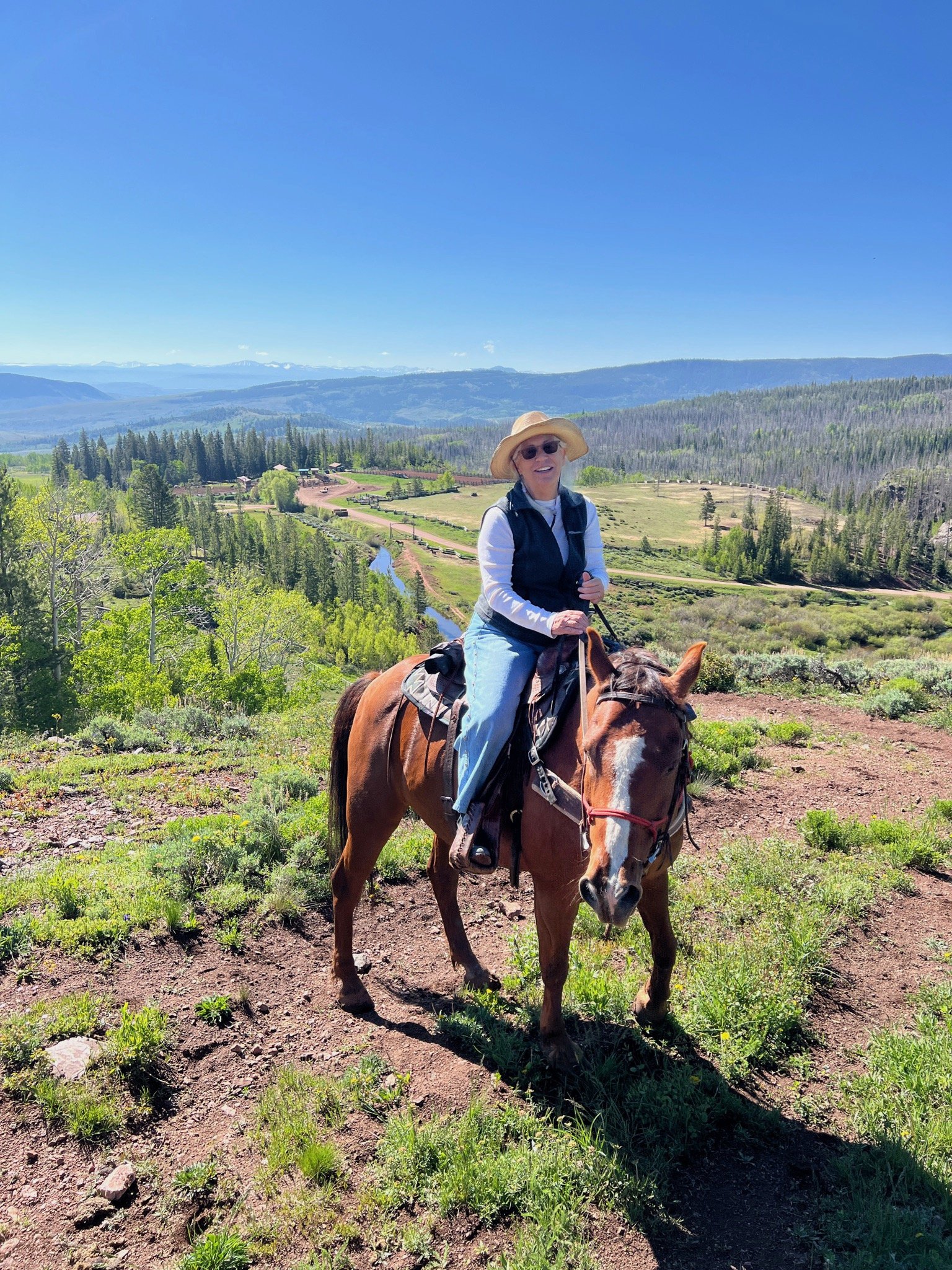 A woman riding a horse on a dirt trail surrounded by green trees and grassy areas, with mountains and a clear blue sky in the background.