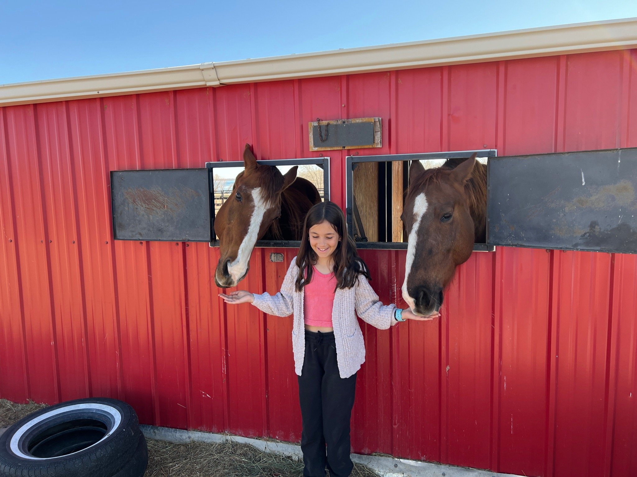 A girl standing with arms outstretched in front of a red barn with two horses looking out from the barn windows.