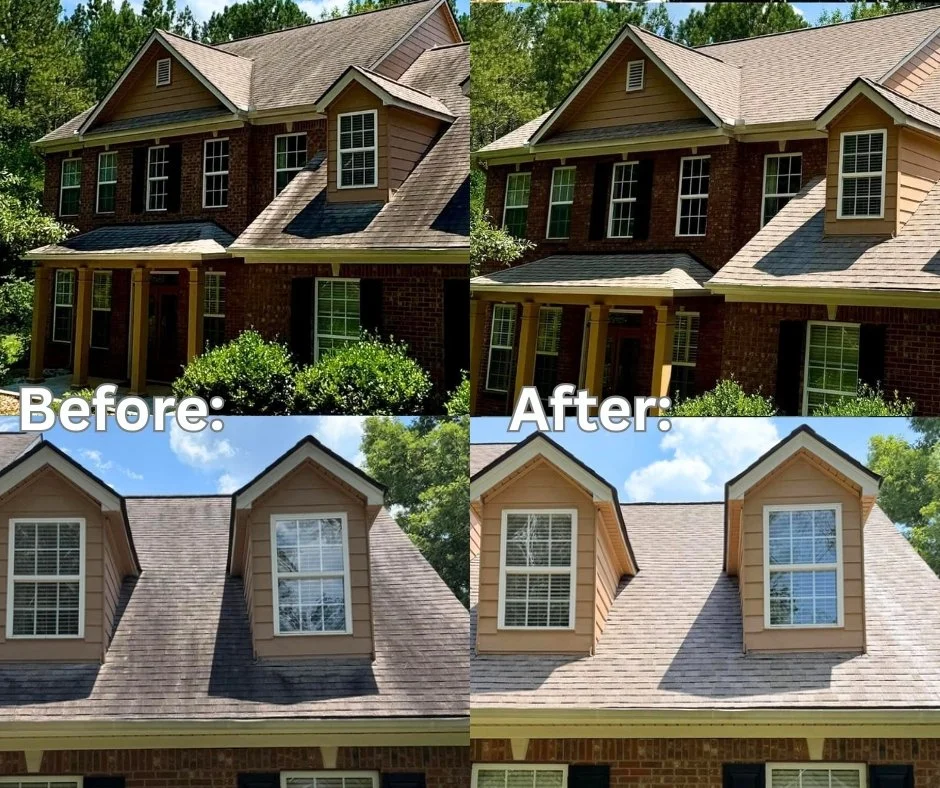 Roof before soft wash showing black streaks in Wayne County, MI | Island Shine