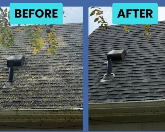 Roof soft wash removing moss and algae in Wayne County, MI | Island Shine