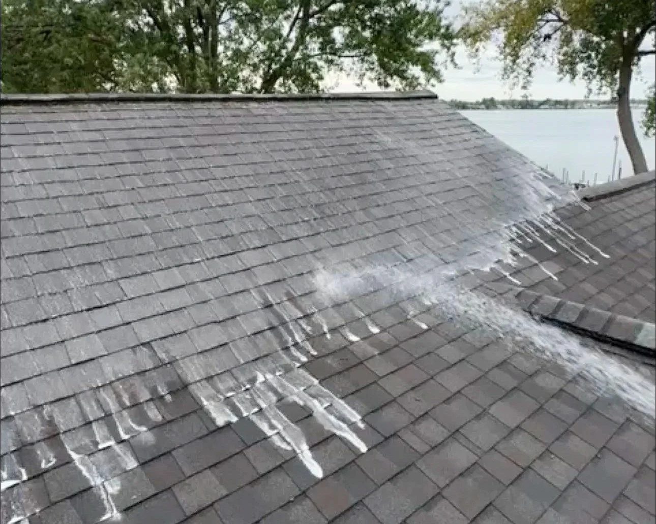 Roof soft wash application to safely treat moss and algae in Wayne County, MI | Island Shine