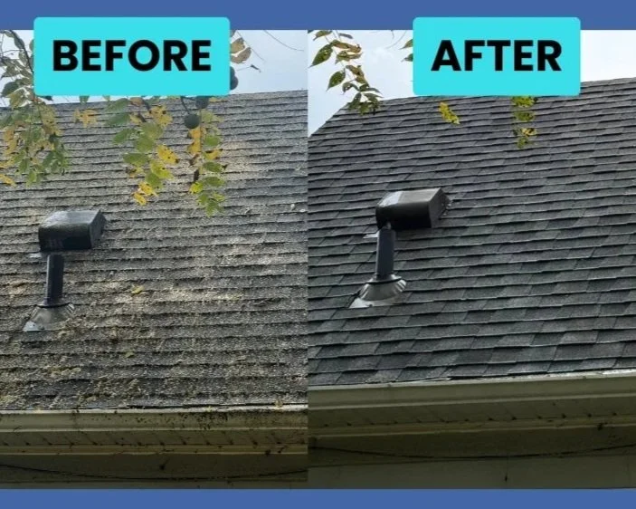 Roof before soft wash showing moss on asphalt shingles in Wayne County, MI | Island Shine