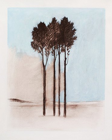   Four Trees,  2015  Acrylic and Pastel 61×45cm / 24×18in
