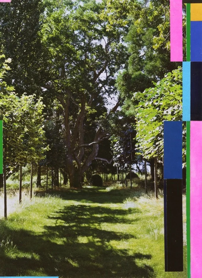   Arcadian Sketch , 2016  Collage on Newsprint 30×21cm / 12×8in