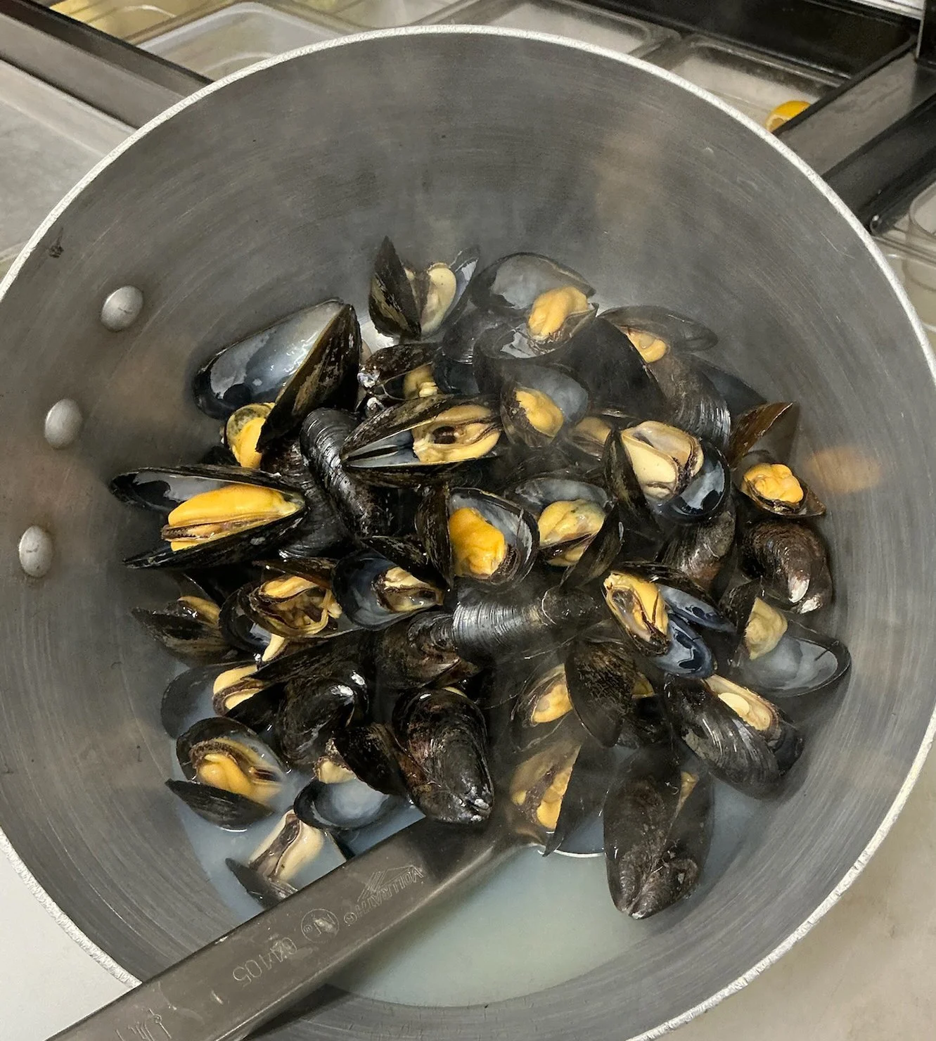 18Mussels.jpg