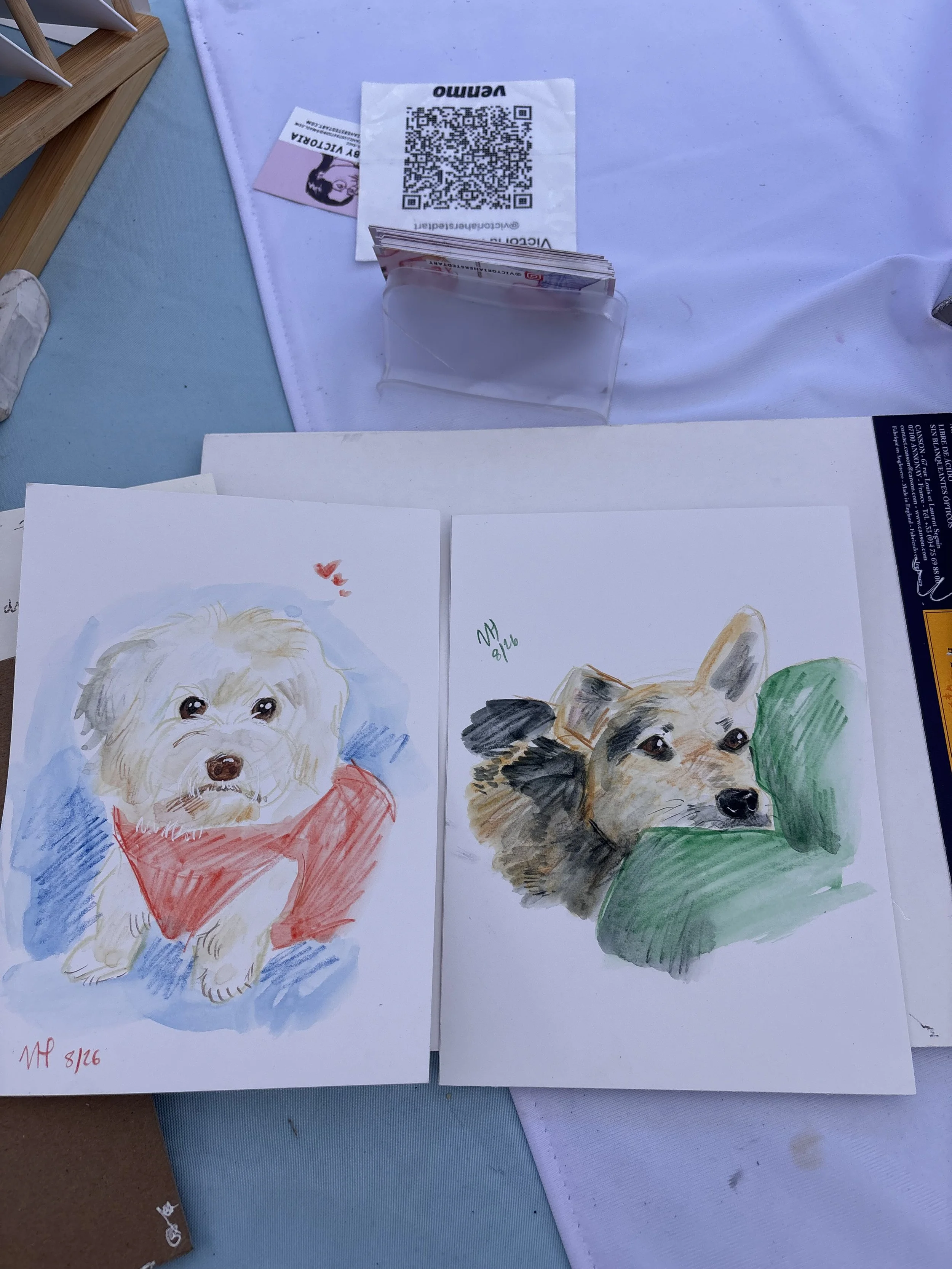 Pet portrait 