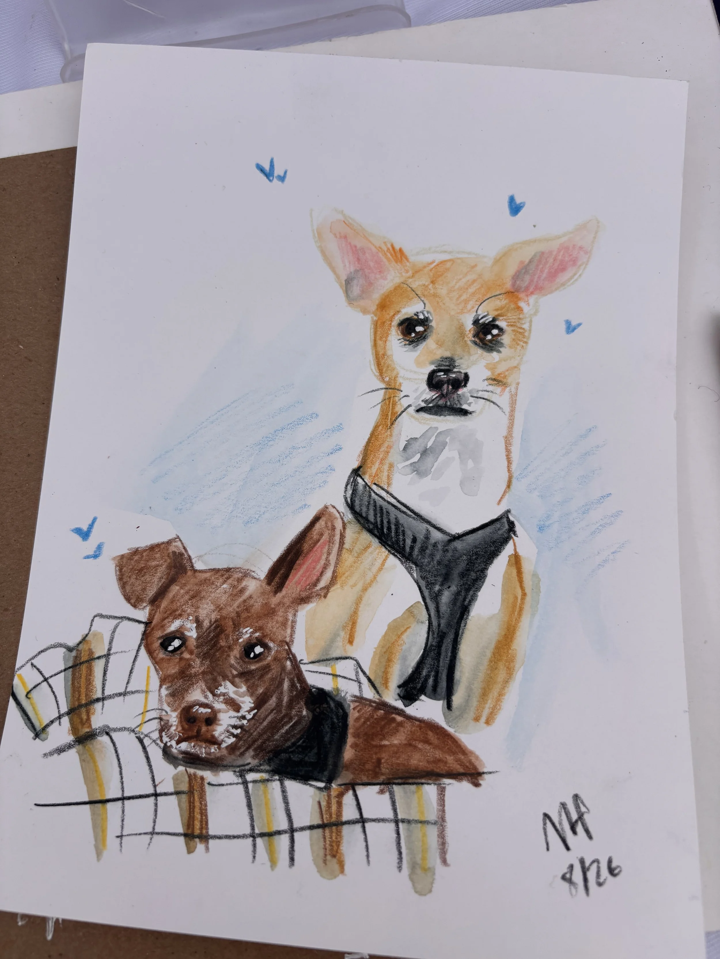 Pet portrait illustration