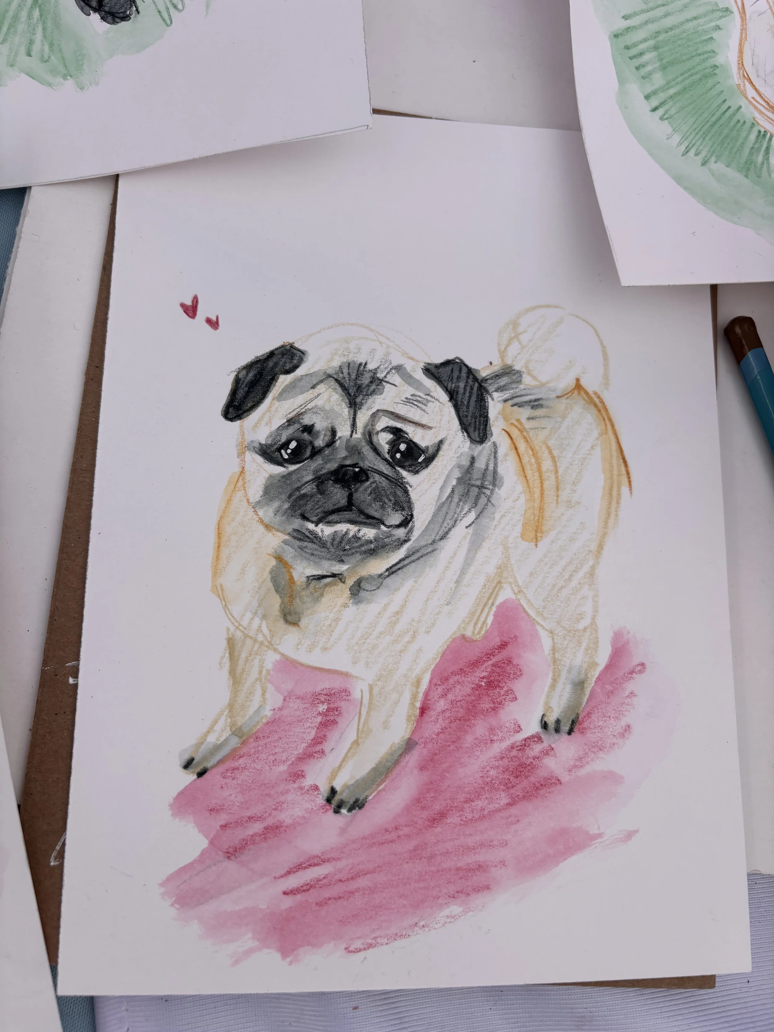 Pet portrait