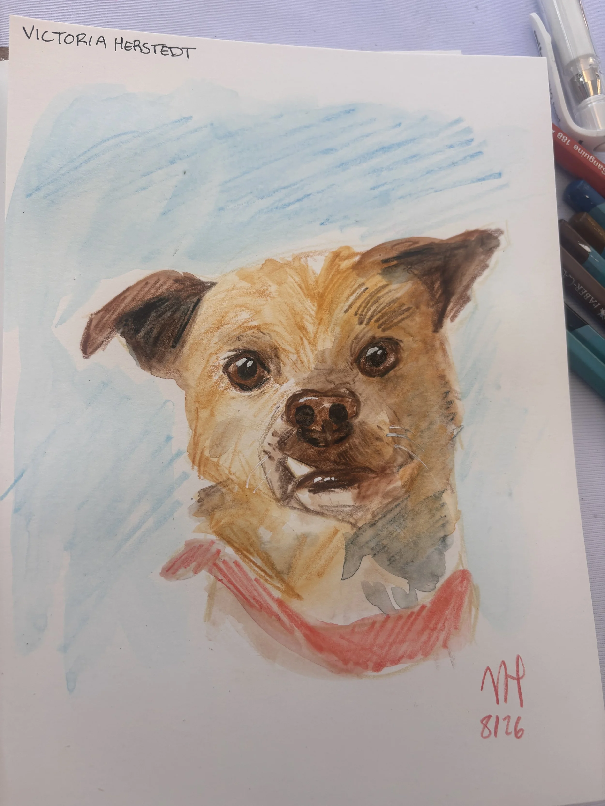 Pet commission
