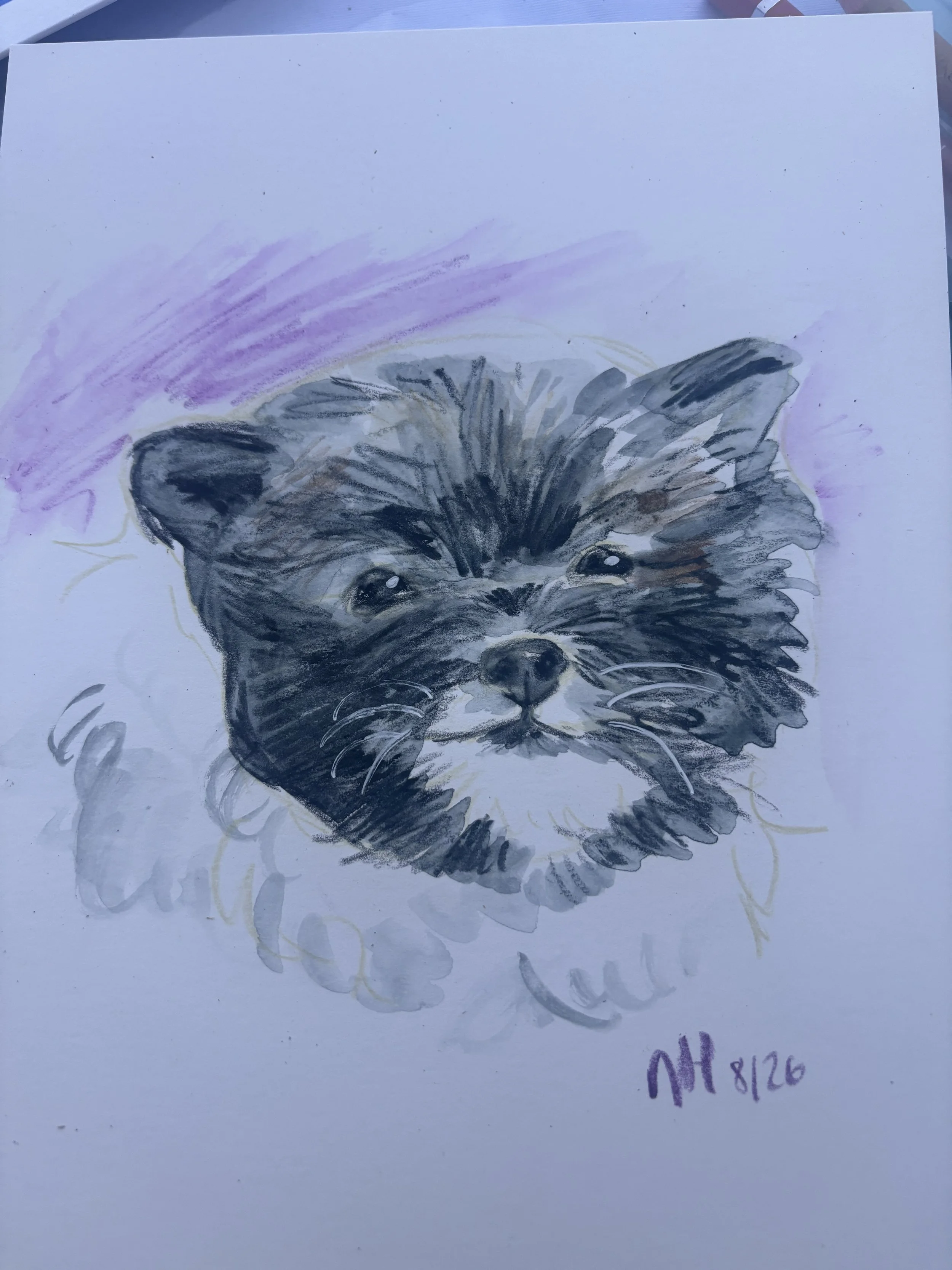 Pet commission
