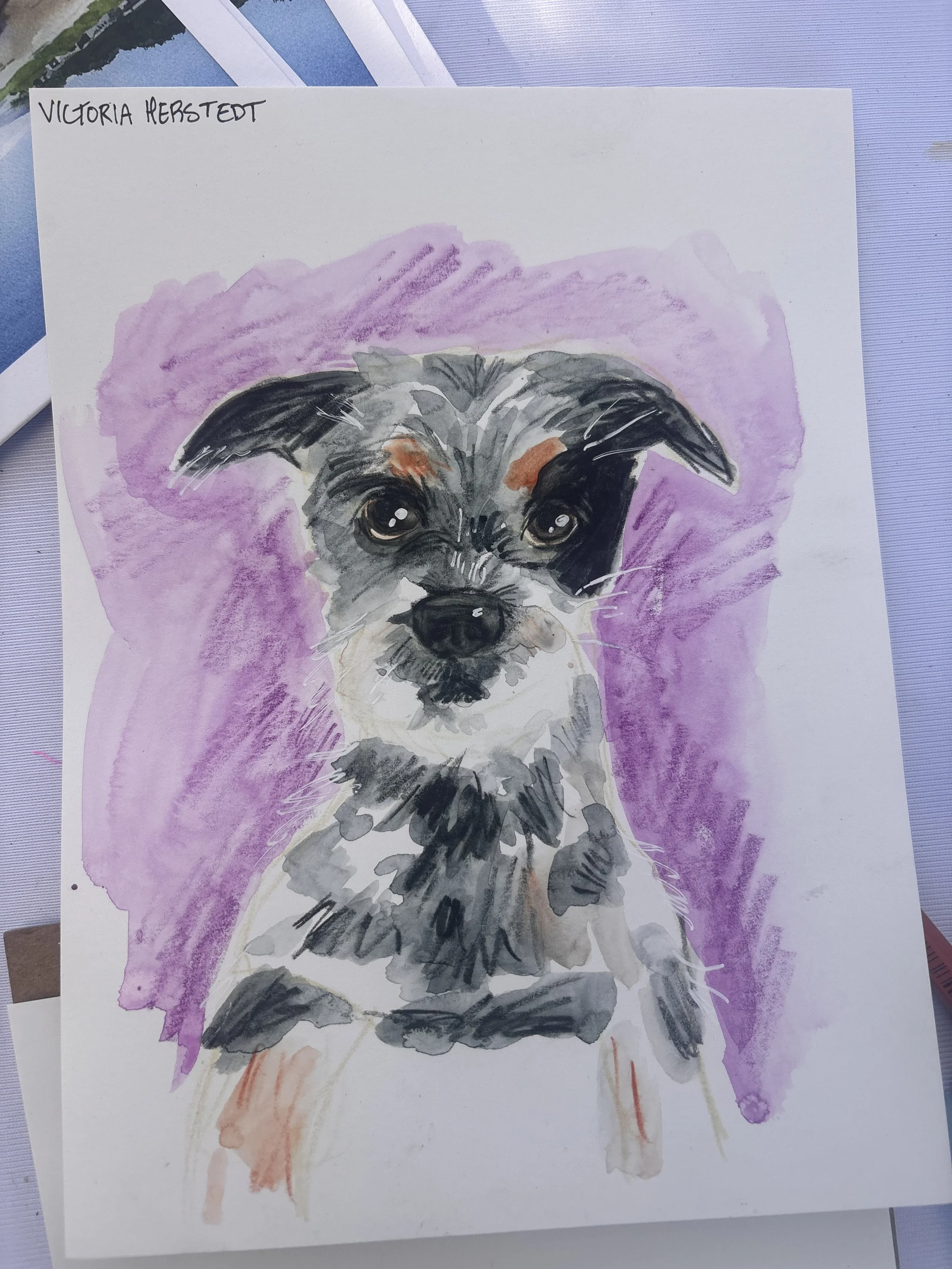 Watercolor pencil pet commission