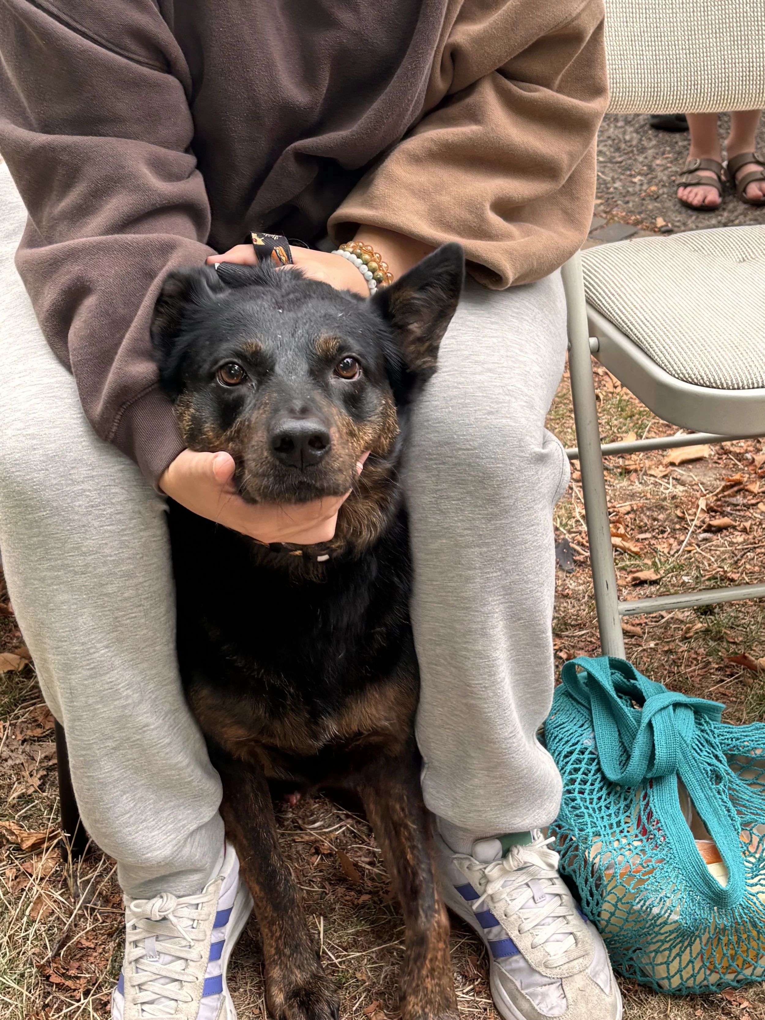 Live portrait artist, event art, wedding art, drawings.