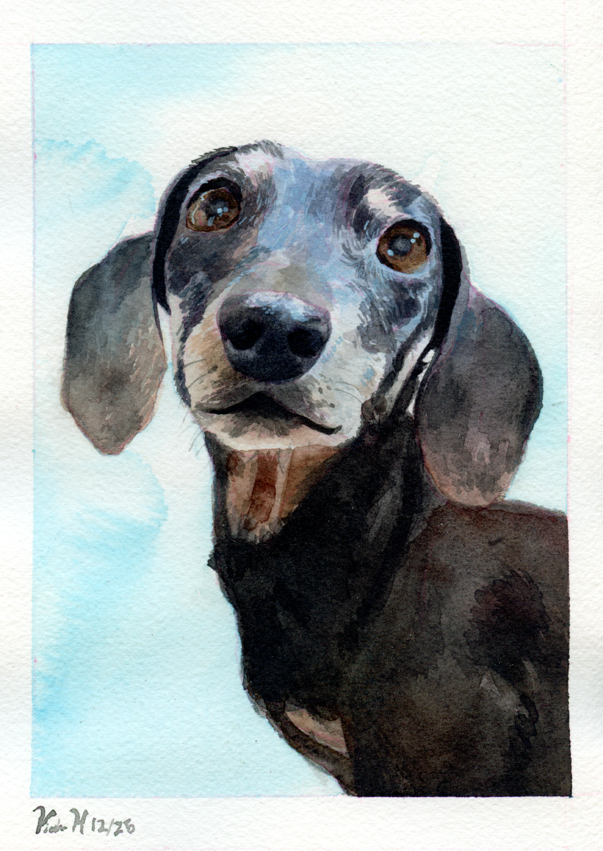 Dachshund portrait, black and tan short haired miniature weenie dog watercolour portrait with a blue wash background.