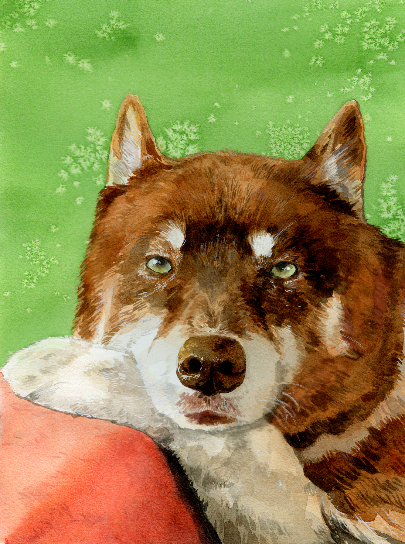 canis.png