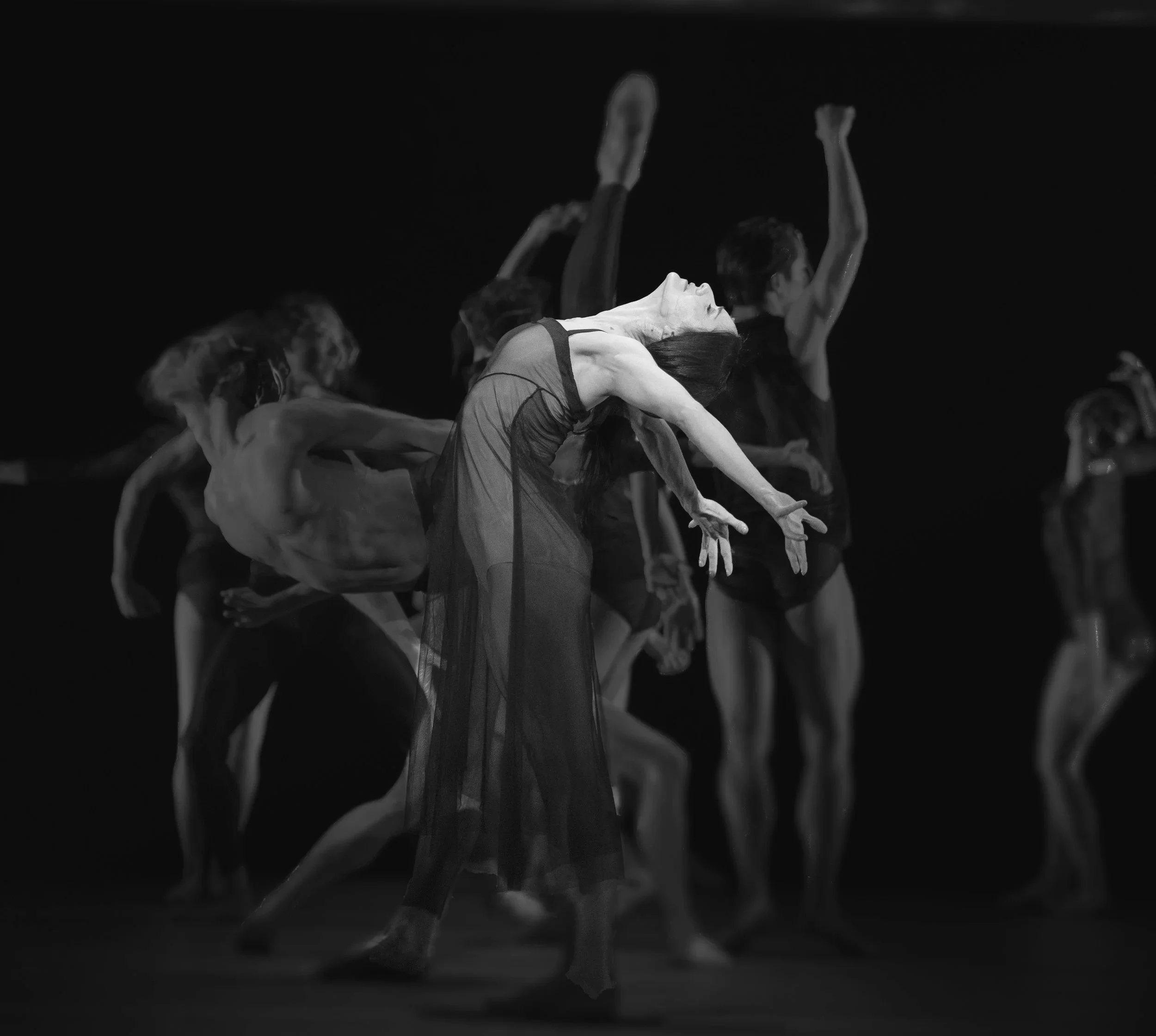 AVPWavesNela_230301_0313+bw.jpg