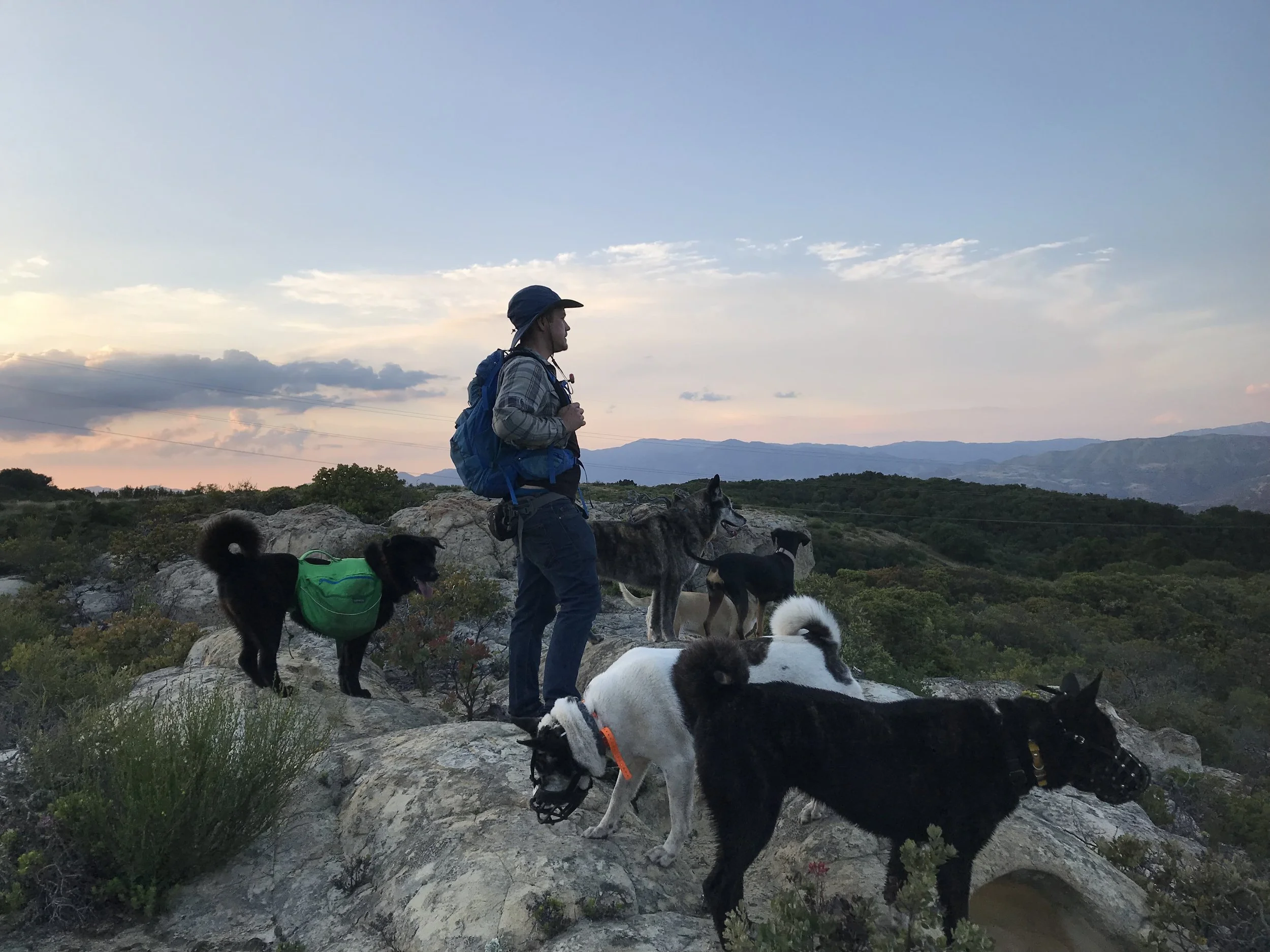 A hiker with a backpack and hat walking with several dogs on rocky terrain during sunset with mountains in the background.