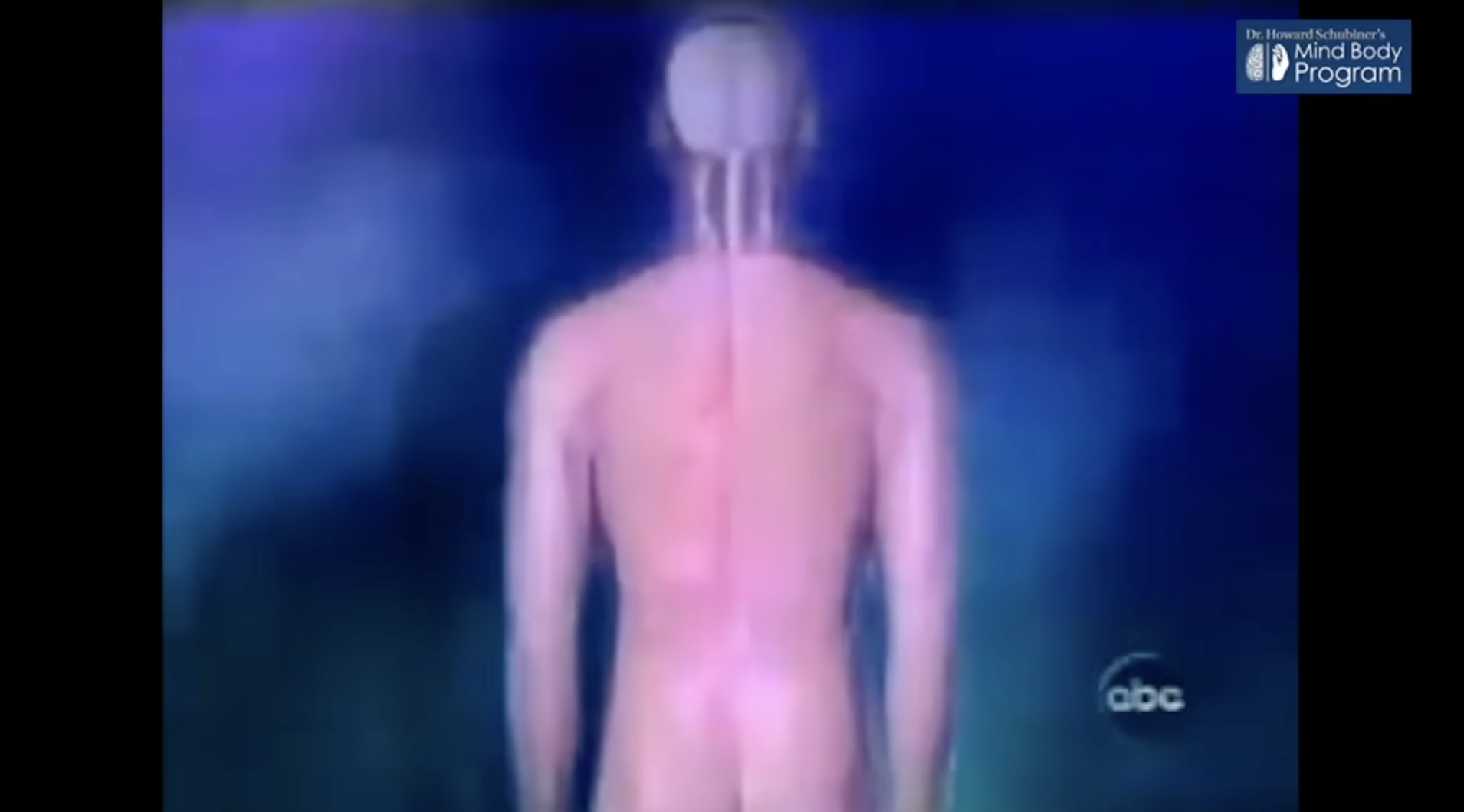 Dr. John Sarno — Lecture on Mind Body Syndrome / TMS