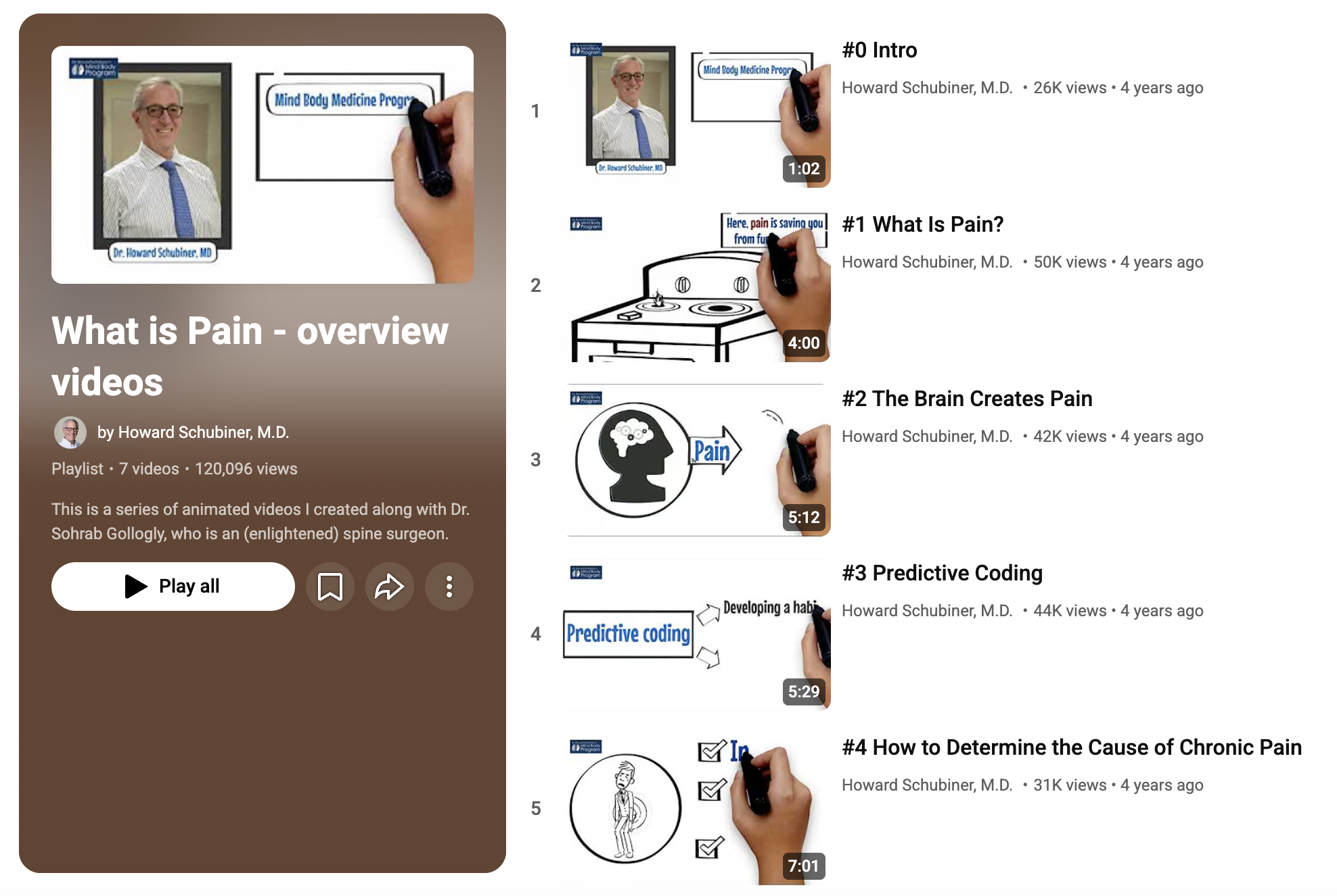 Dr. Howard Schubiner's Pain Assessment Video Series
