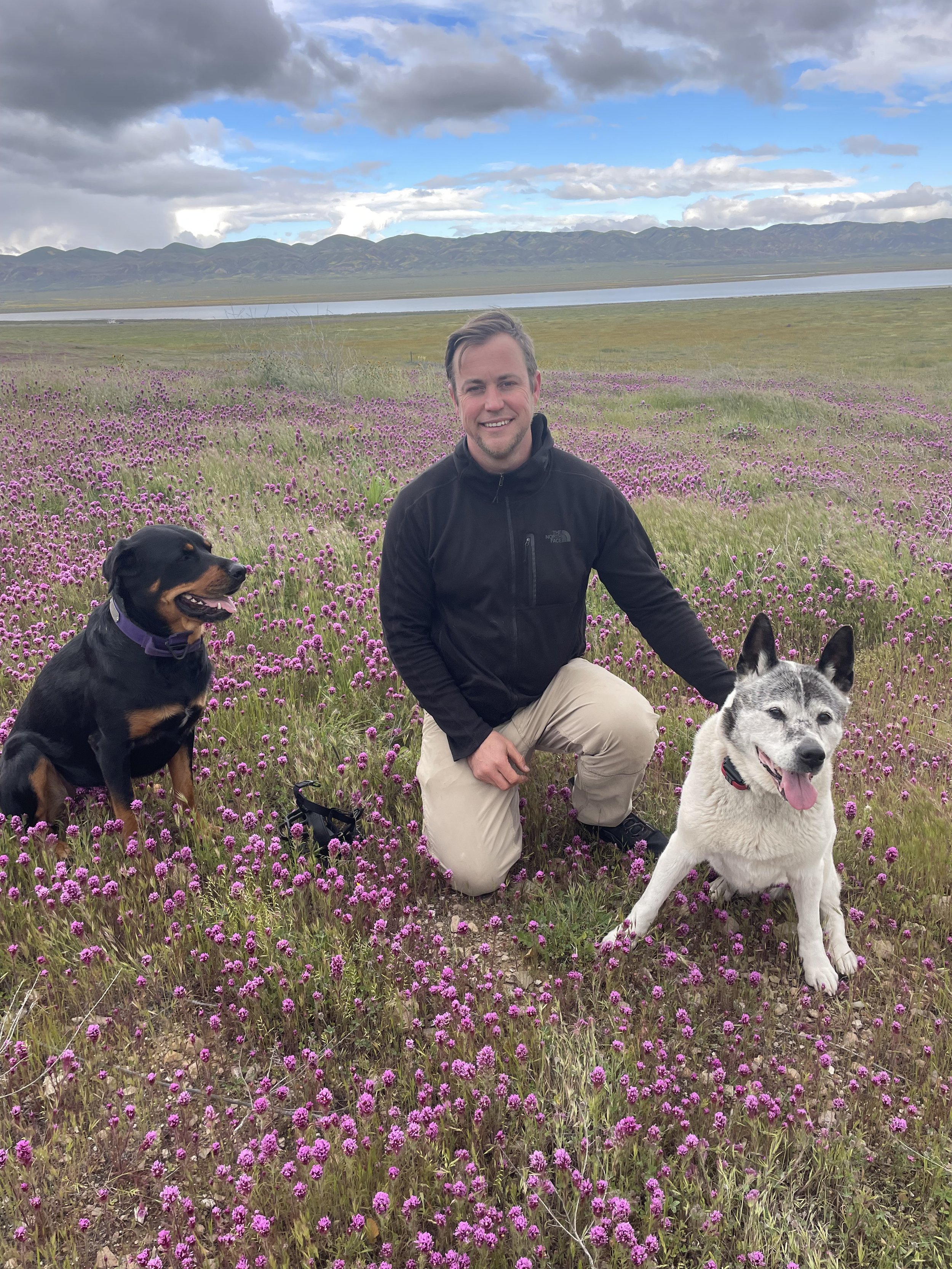 Eric Stokell kneeling in a field of purple flowers with two dogs, one black and tan and one white and gray, near a body of water, mountains, and a cloudy sky in the background.