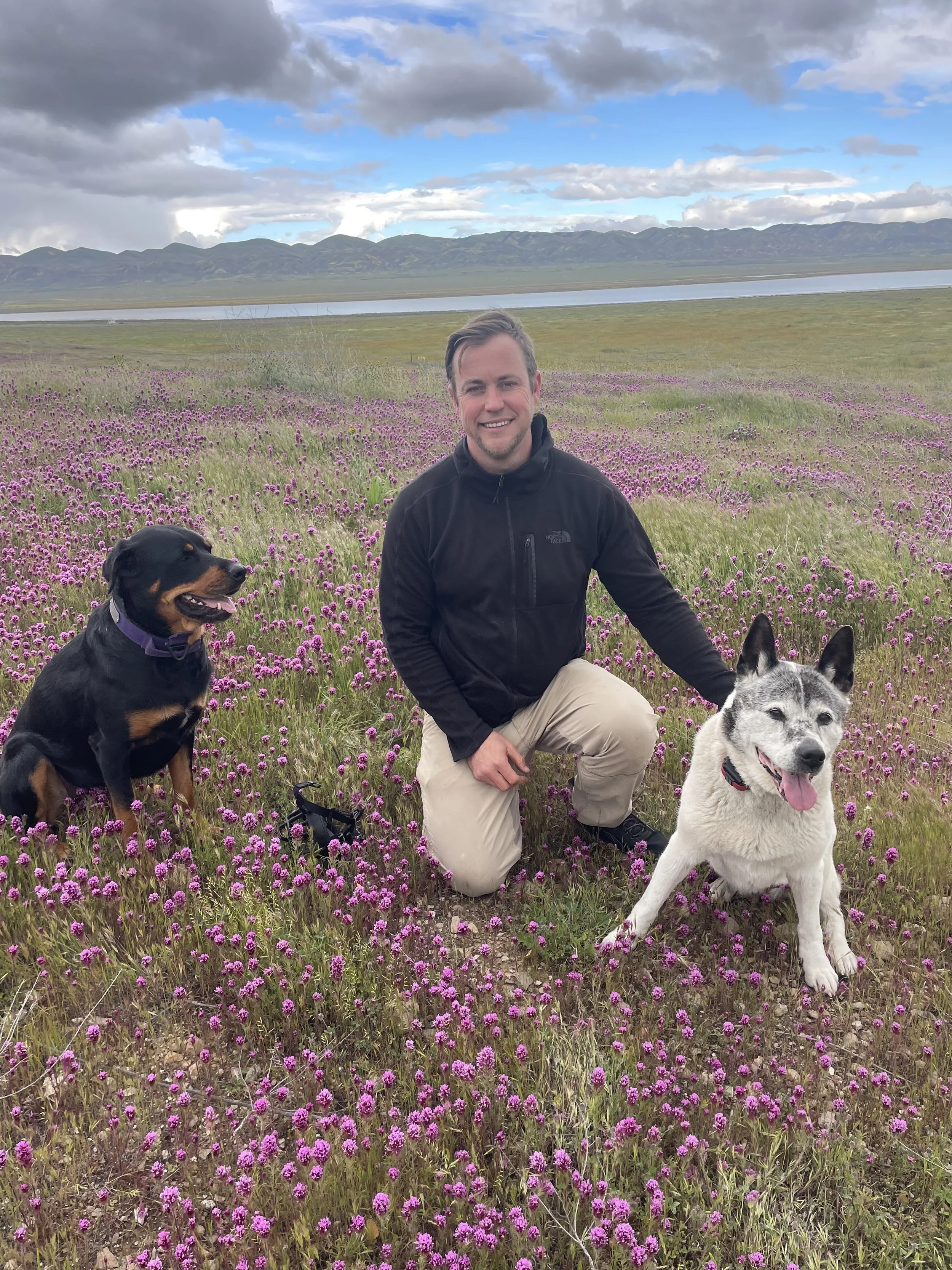 A man kneeling in a field of pink flowers with two dogs, a black and tan dog on his left and a white dog with black markings on his right, with mountains, a lake, and a cloudy sky in the background.