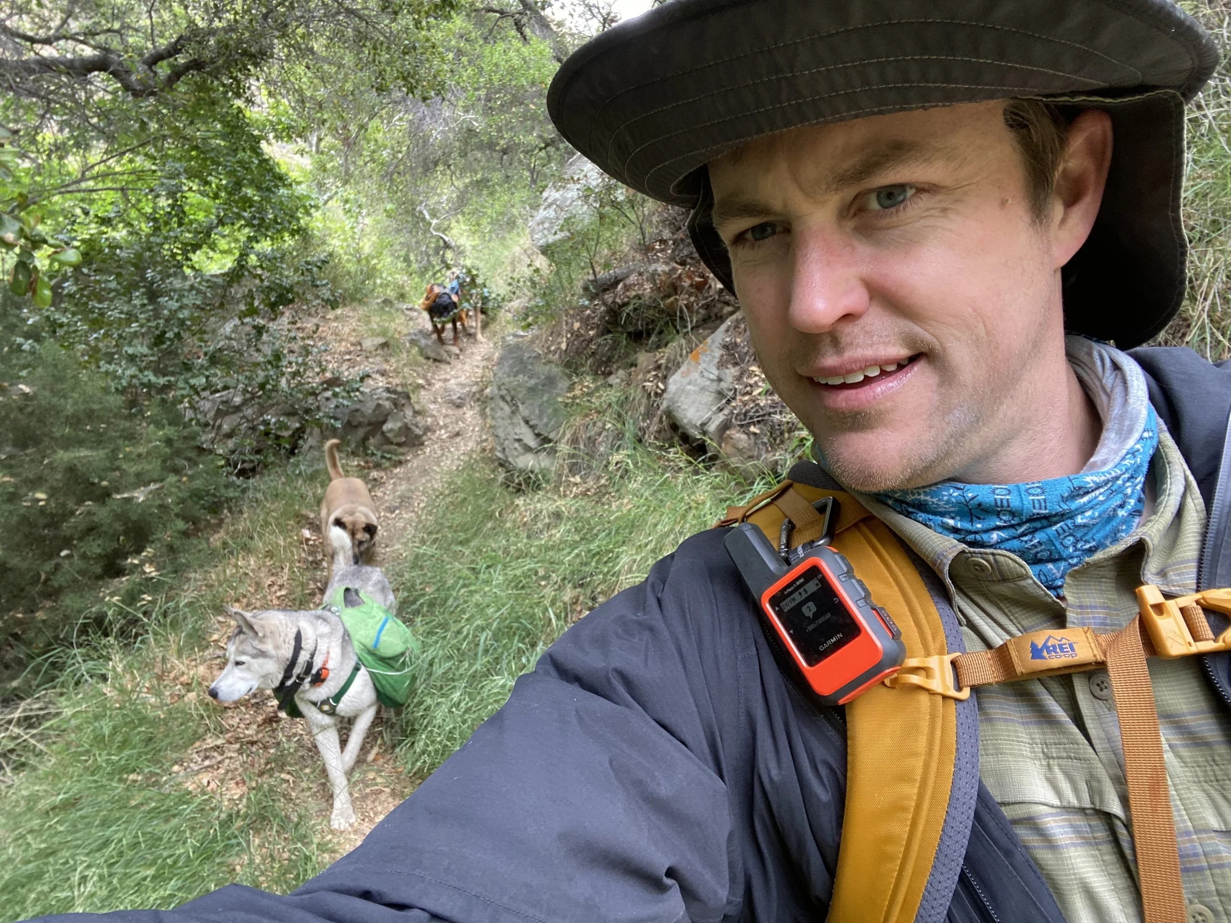 A man with blue eyes and fair skin taking a selfie outdoors in a green forest, wearing a wide-brimmed hat, a bandana, and outdoor gear, with two dogs on a trail behind him.
