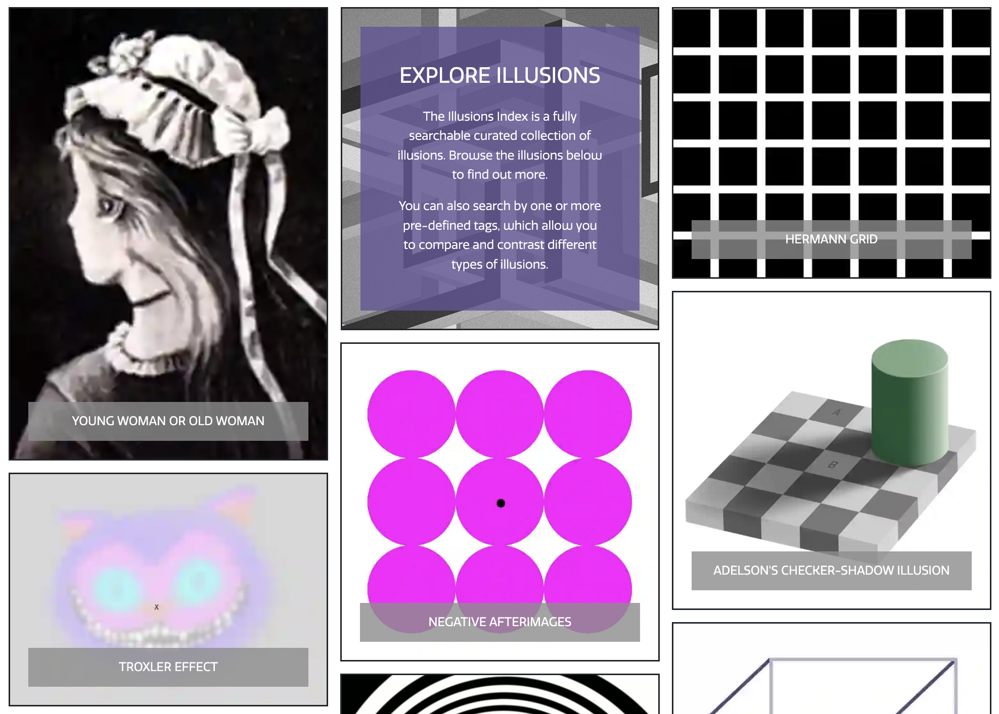 The Illusions Index — See How Your Brain Constructs Reality