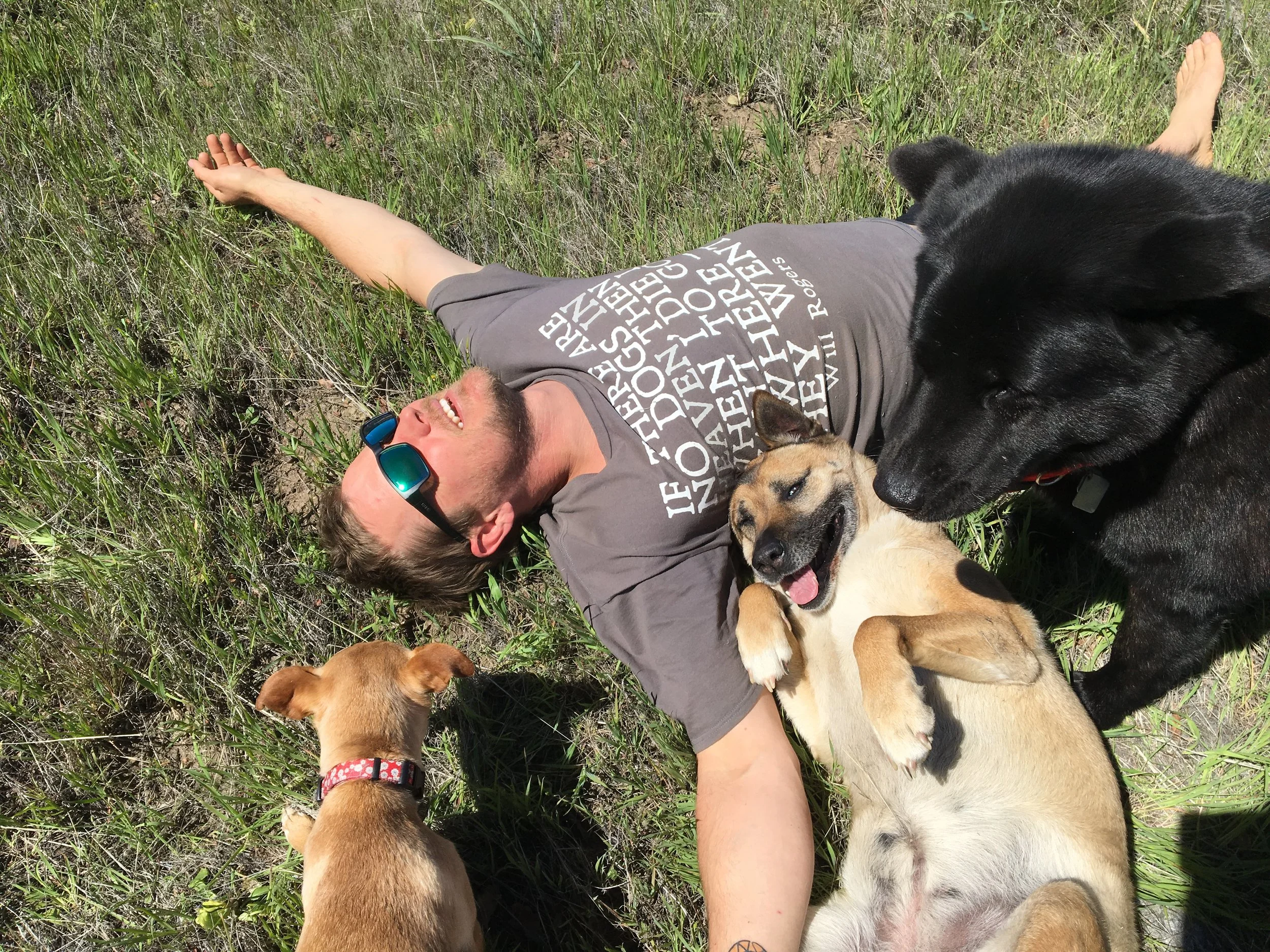 A person with sunglasses and a gray t-shirt lying on the grass surrounded by multiple dogs, including a large black dog and several puppies of different colors, in an outdoor setting.