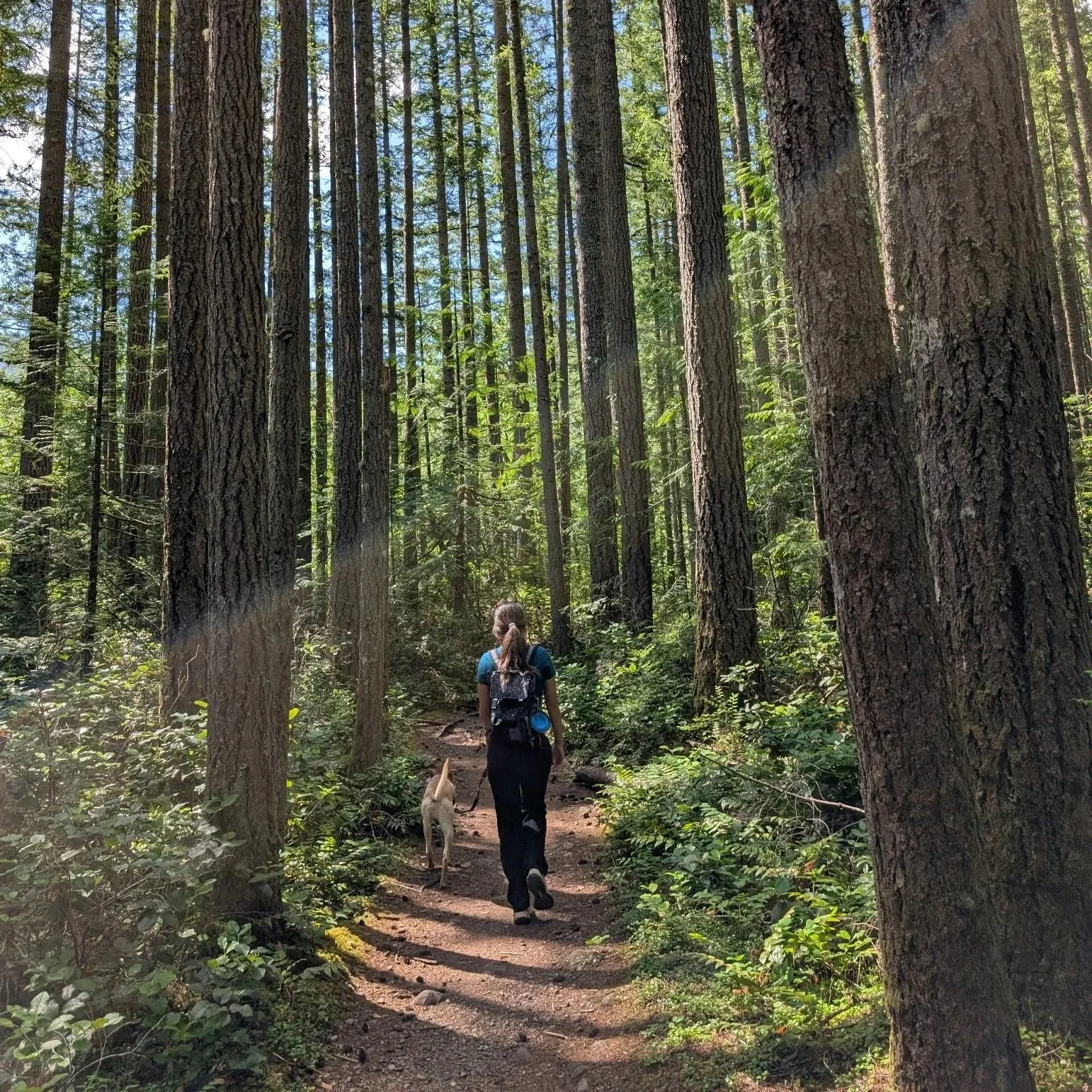 hiking with dog
