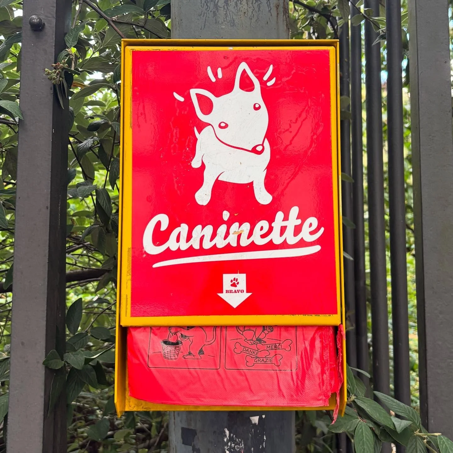 geneva design/typography