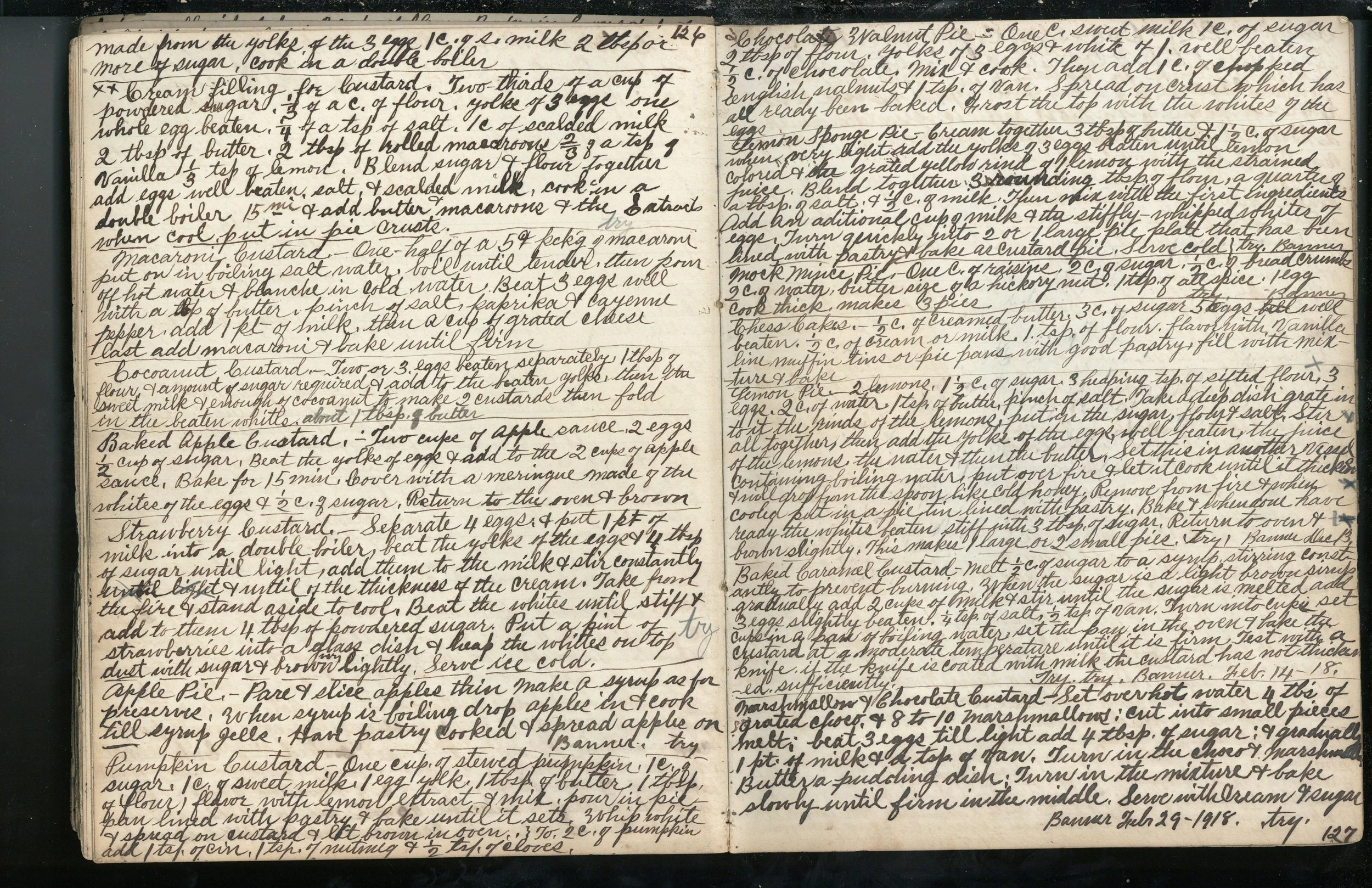 louisabenedict_familycookbook0066.jpg