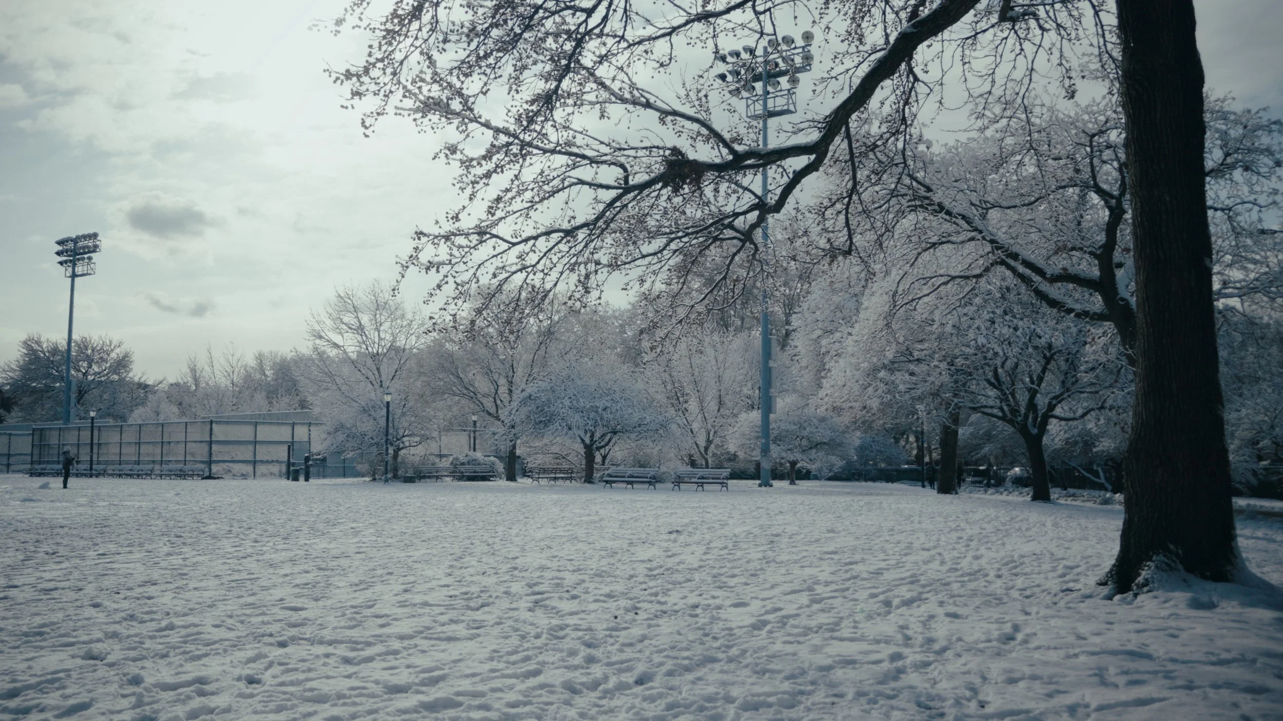 Snow-covered park with trees, benches, and a person walking along a cleared path, cloudy sky above.