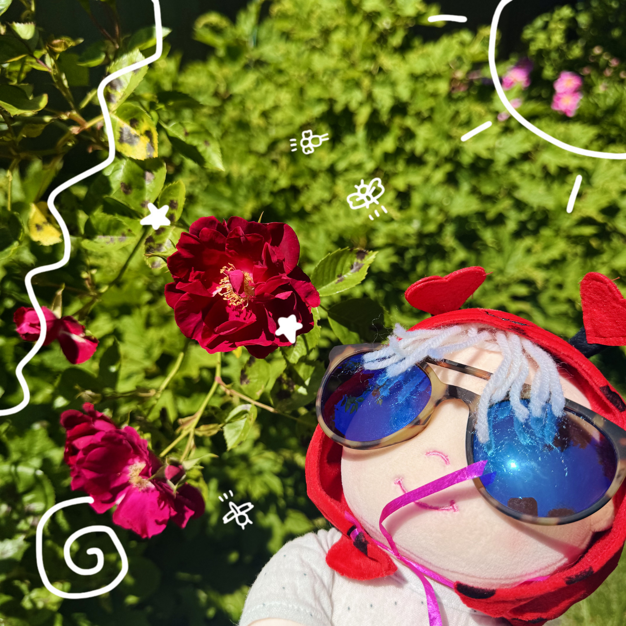 such pleasant weather i’m in… ☀️