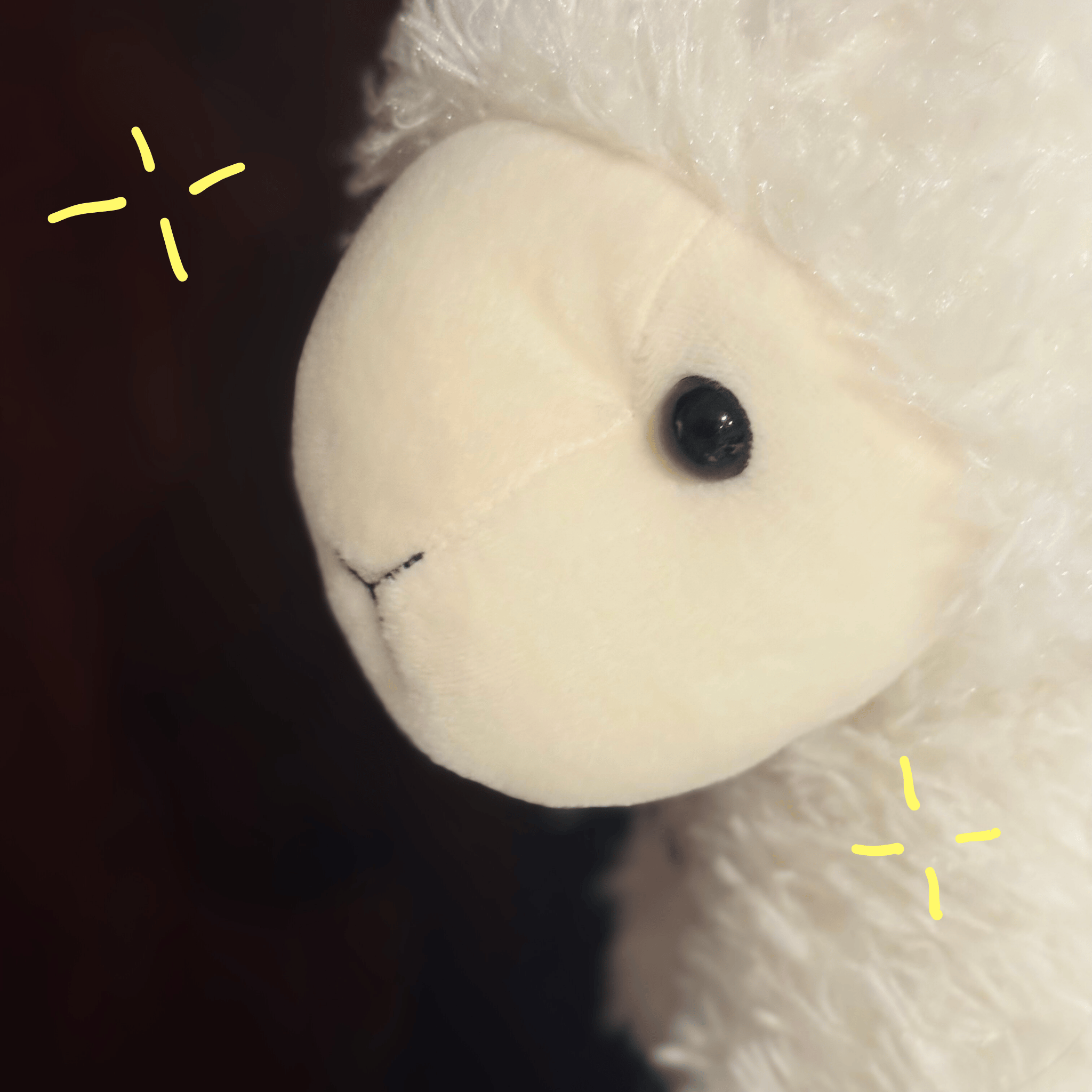 Close-up of a white plush teddy bear's face, showing one black eye, an embroidered nose, and fluffy fur.