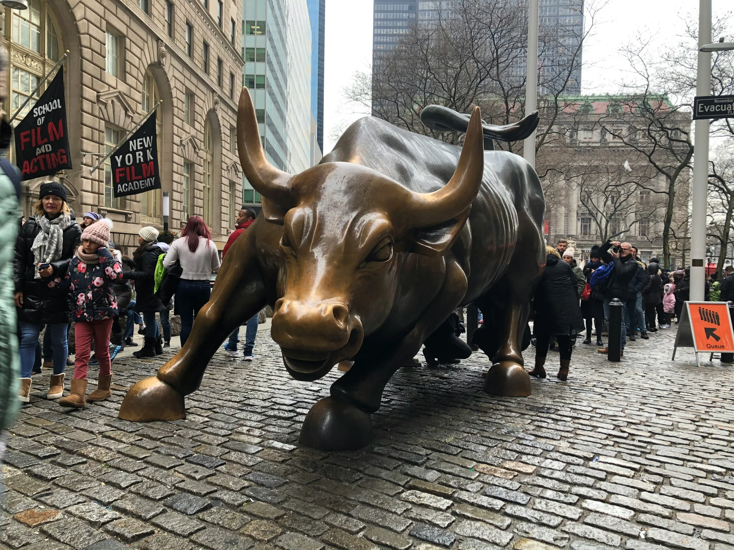 Bull and Bear Markets: Understanding Market Trends