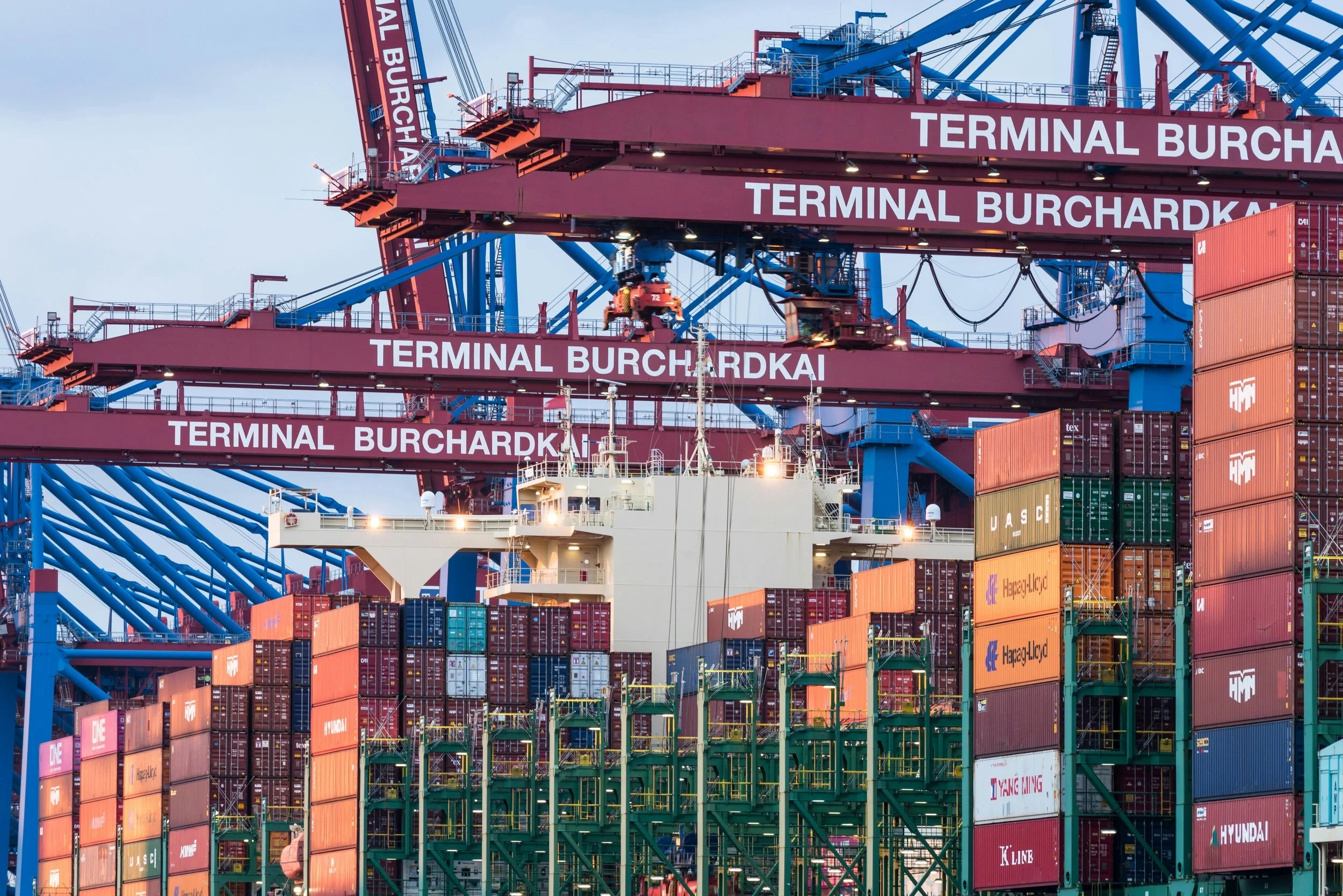 How Supply and Demand Drive the Economy and Your Wallet