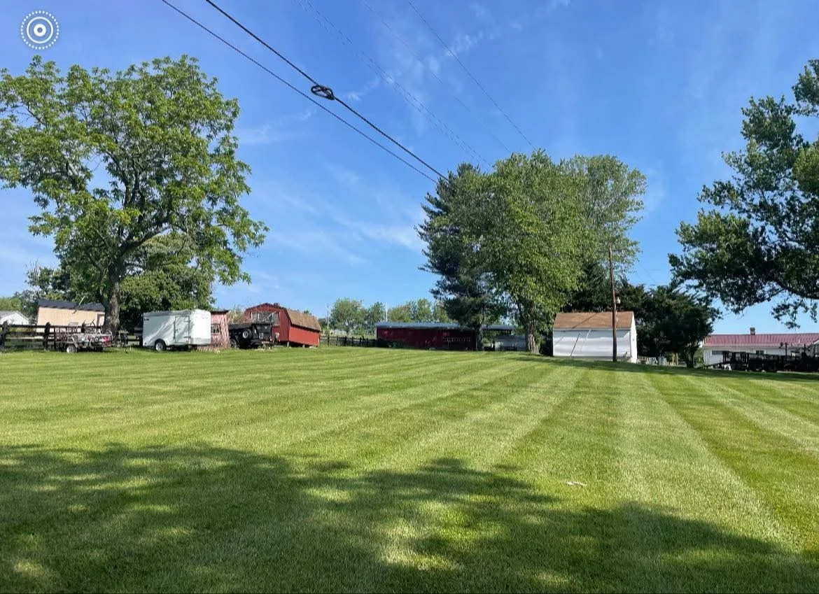 A well-maintained grassy lawn with stripes, several trees, and farm buildings under a clear blue sky.